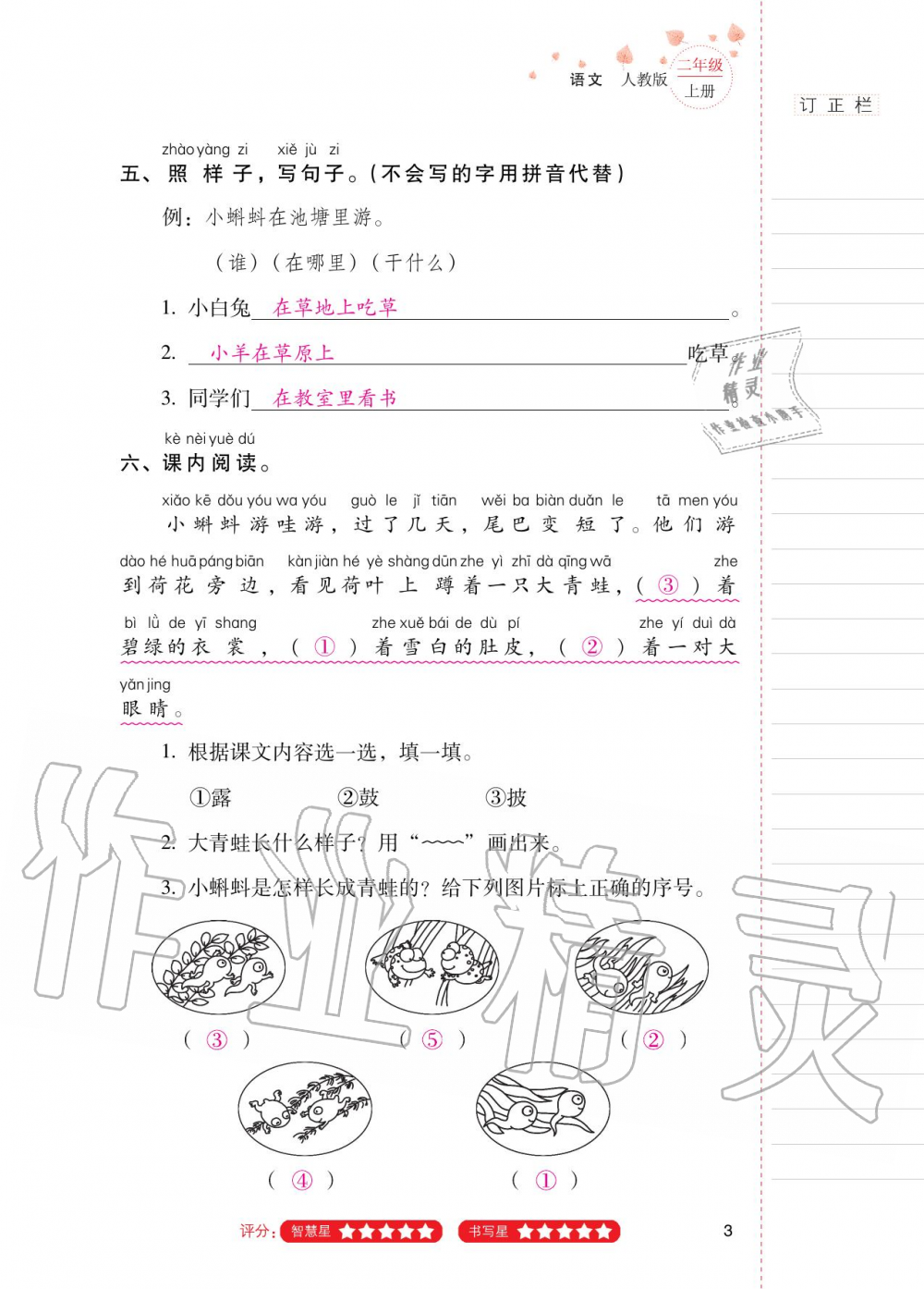 2020年云南省标准教辅同步指导训练与检测二年级语文上册人教版 第2页