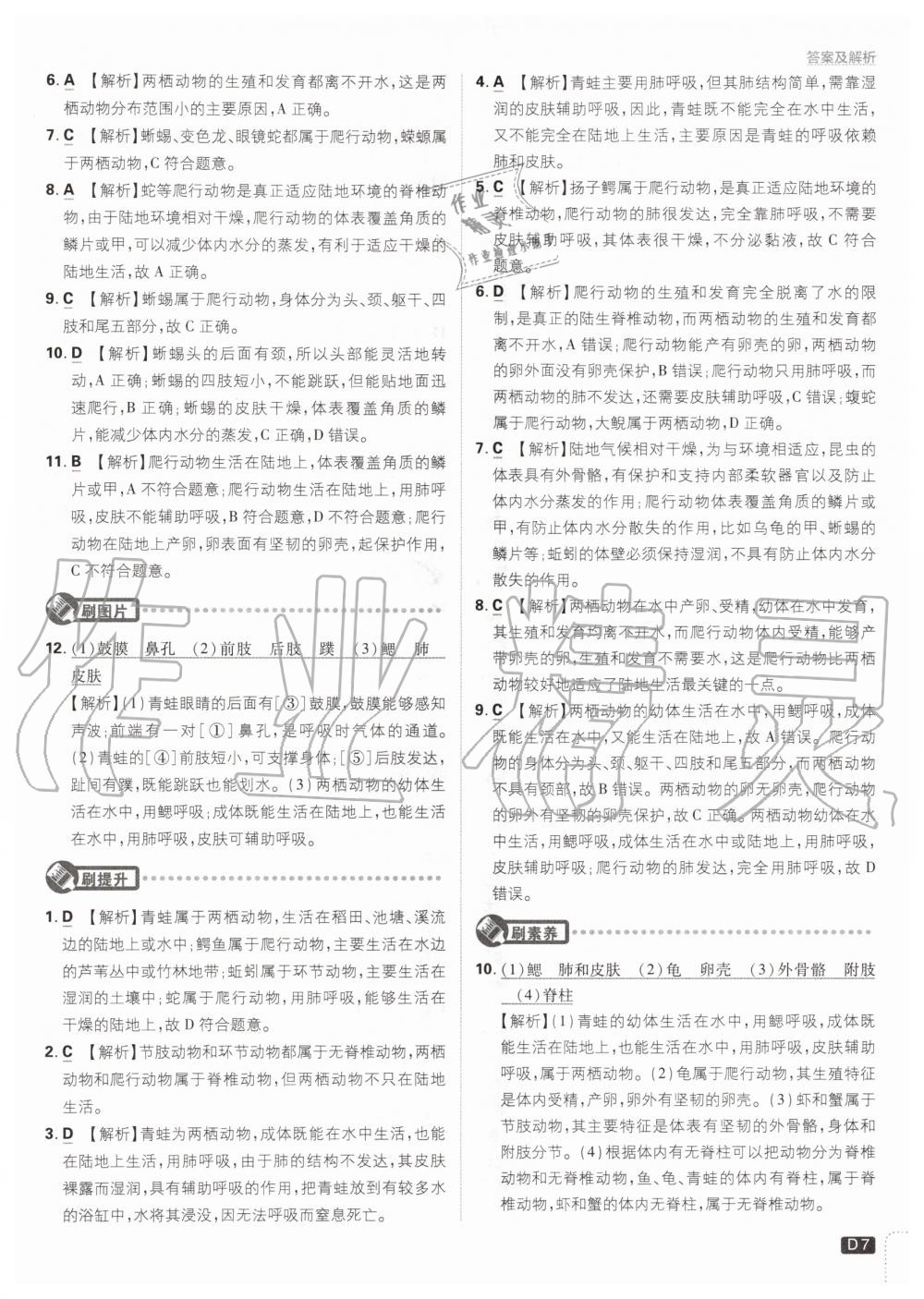 2020年初中必刷題八年級生物上冊人教版 參考答案第7頁