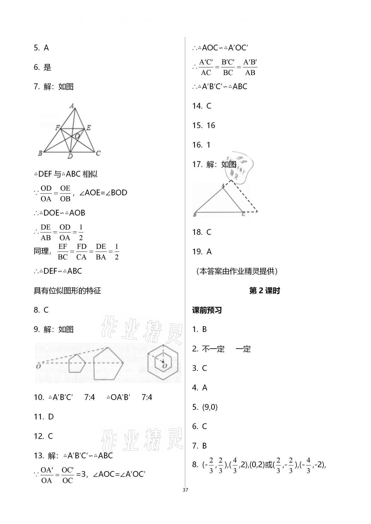 2020年基礎訓練九年級數學全一冊人教版大象出版社 參考答案第37頁