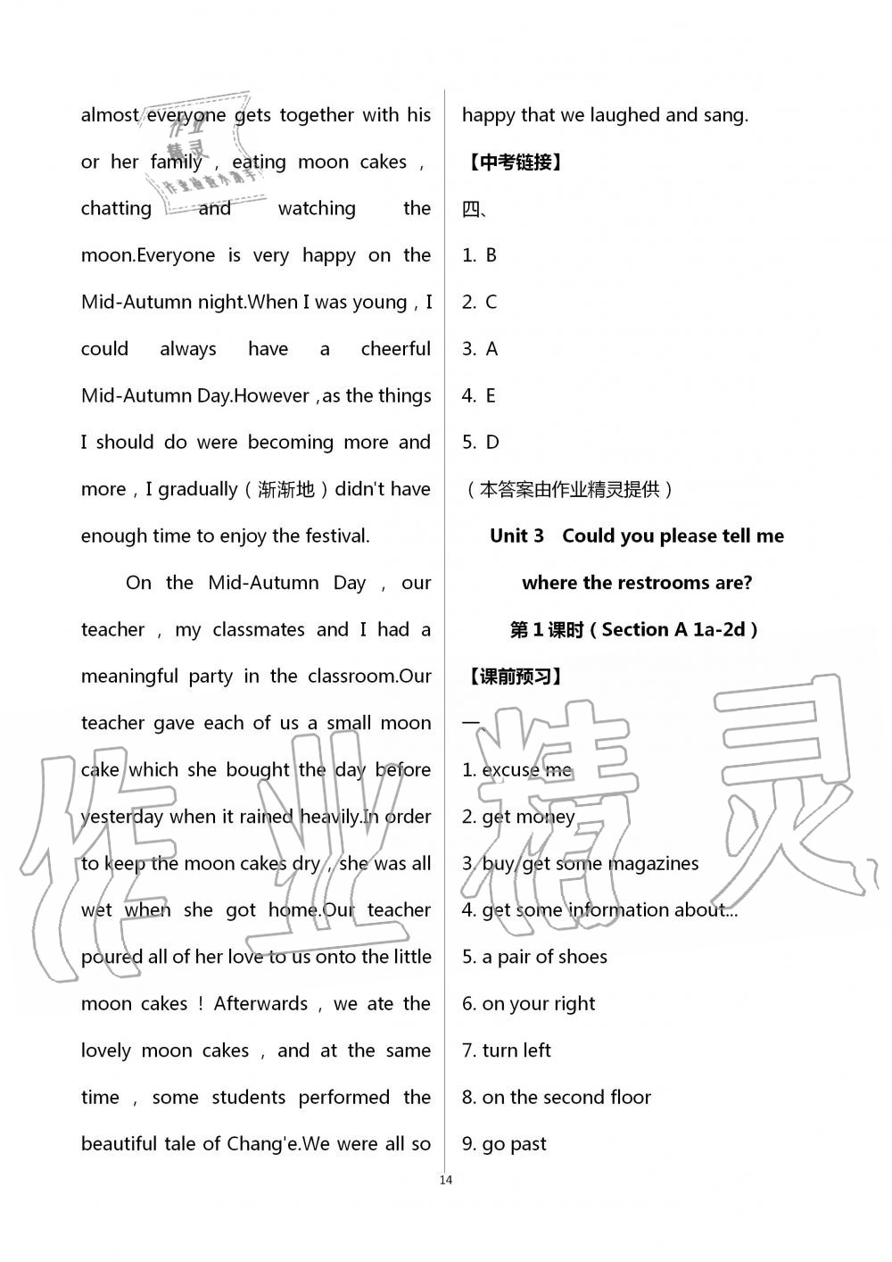 2020年基礎(chǔ)訓(xùn)練九年級英語全一冊人教版大象出版社 第14頁