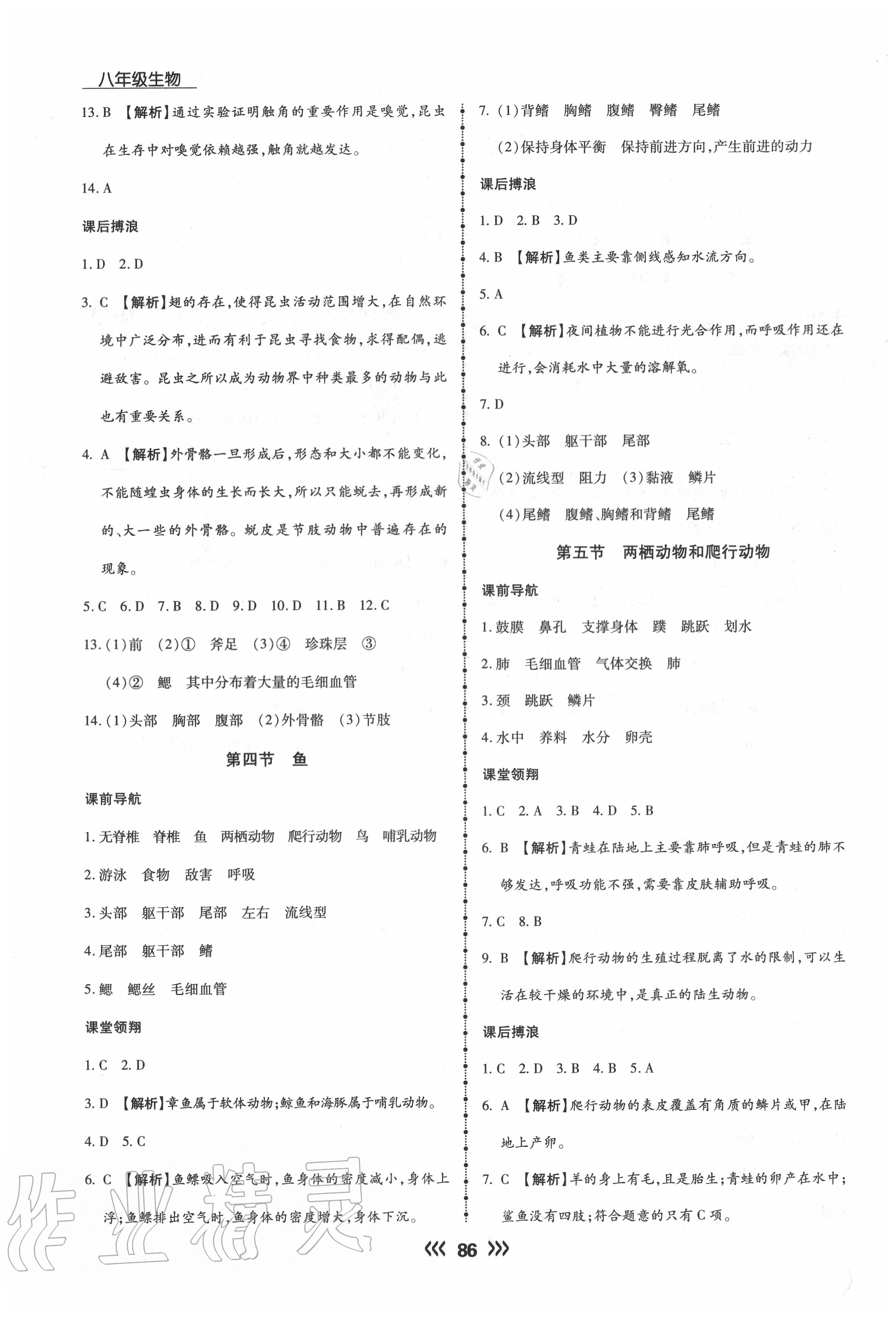 2020年学升同步练测八年级生物上册人教版 参考答案第2页