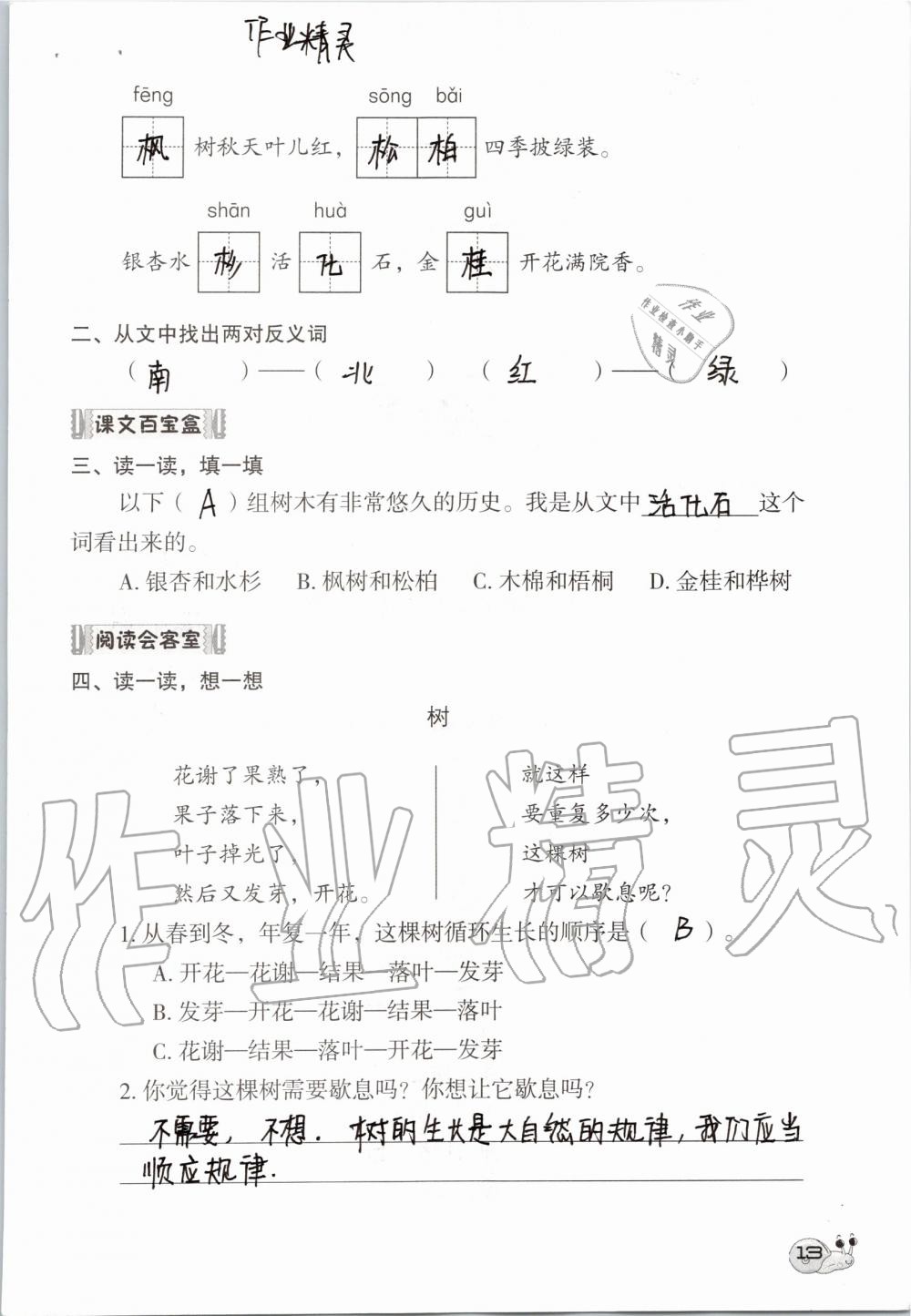 2020年知識(shí)與能力訓(xùn)練二年級(jí)語(yǔ)文上冊(cè)人教版 第13頁(yè)
