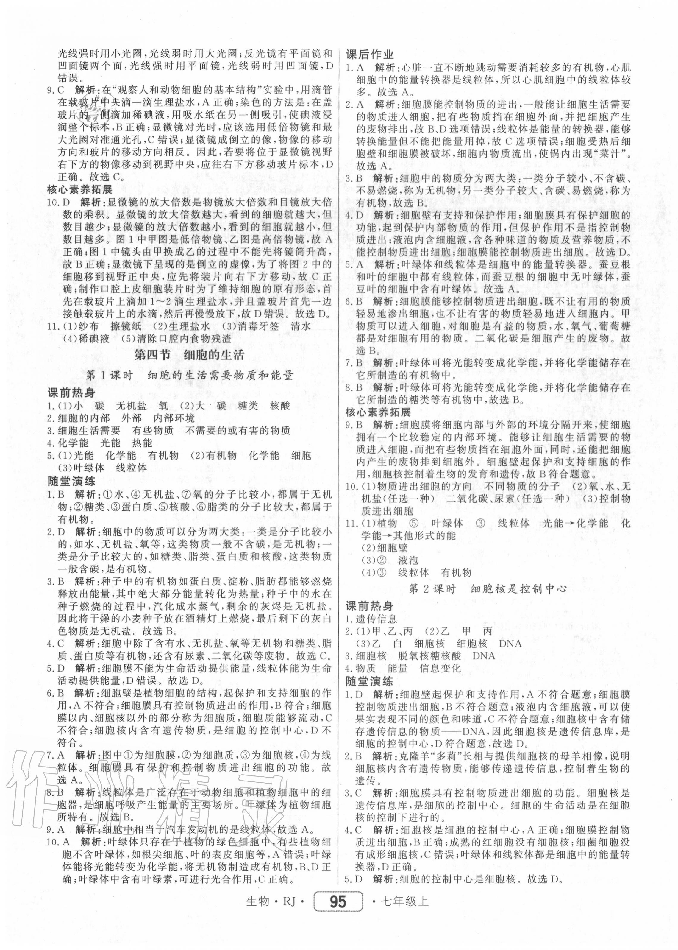 2020年紅對勾45分鐘作業(yè)與單元評估七年級生物上冊人教版 參考答案第7頁