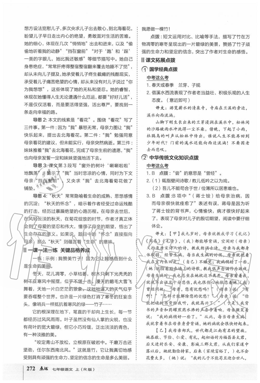 2020年特高級(jí)教師點(diǎn)撥七年級(jí)語(yǔ)文上冊(cè)人教版 第4頁(yè)