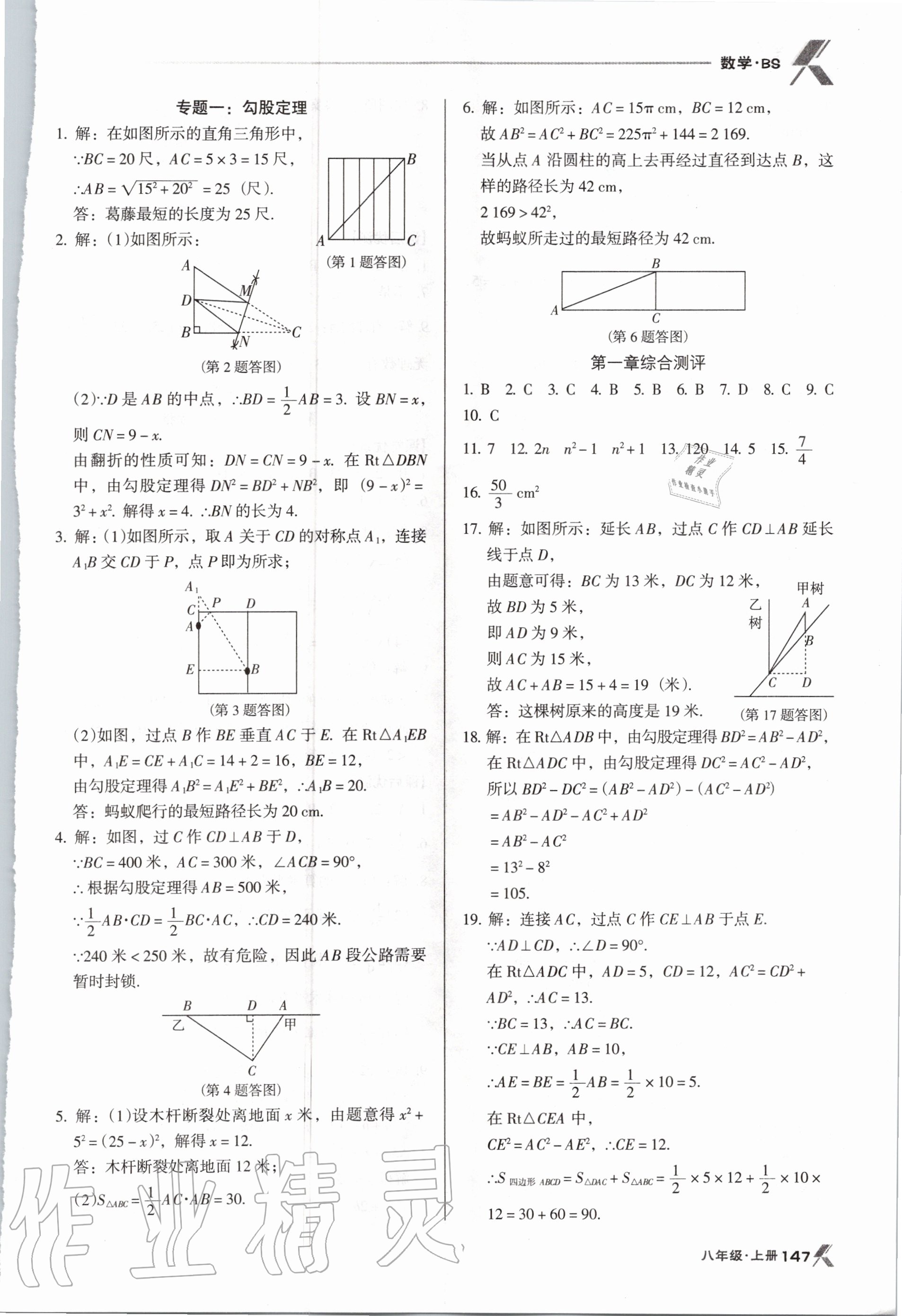 2020年全優(yōu)點(diǎn)練課計劃八年級數(shù)學(xué)上冊北師大版 第3頁