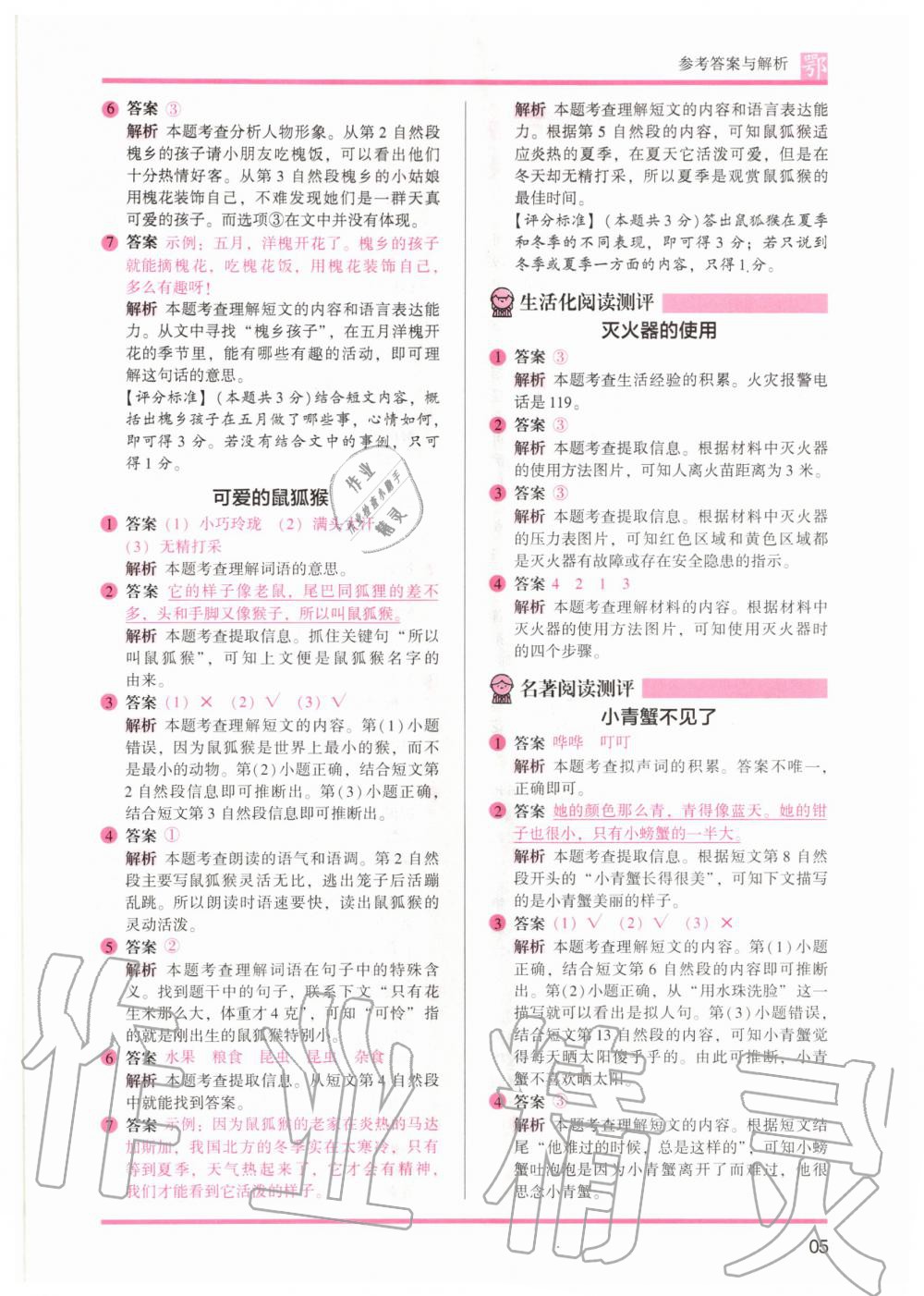 2020年木頭馬閱讀力測(cè)評(píng)二年級(jí)語(yǔ)文A版大武漢版 參考答案第5頁(yè)