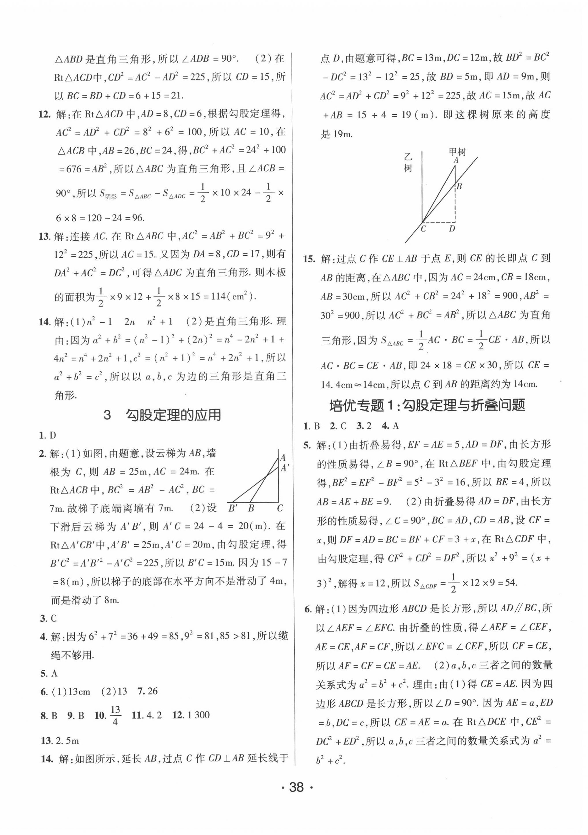 2020年同行學(xué)案八年級(jí)數(shù)學(xué)上冊(cè)北師大版青島專版 第2頁(yè)