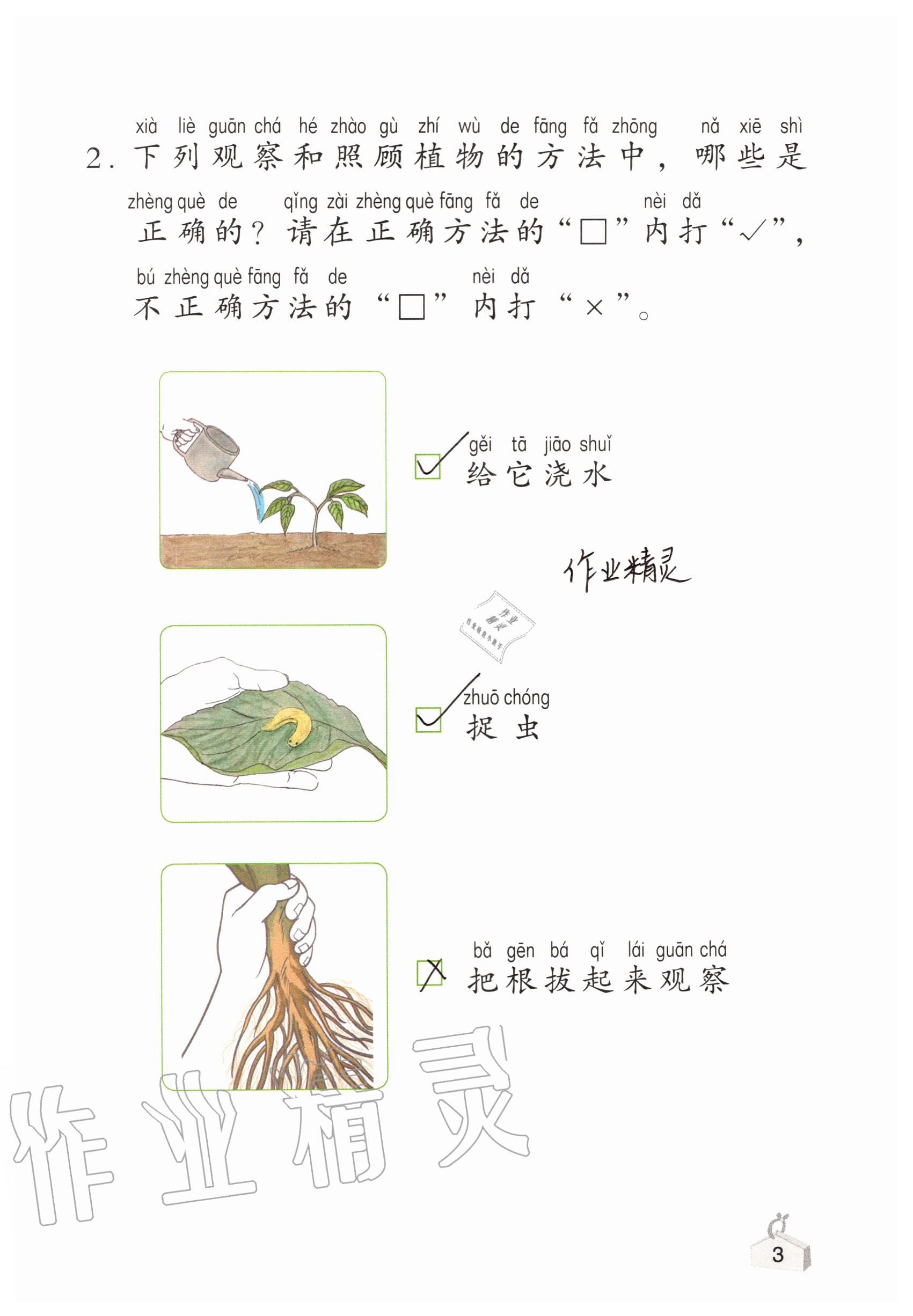 2020年知识与能力训练一年级科学上册教科版 参考答案第3页