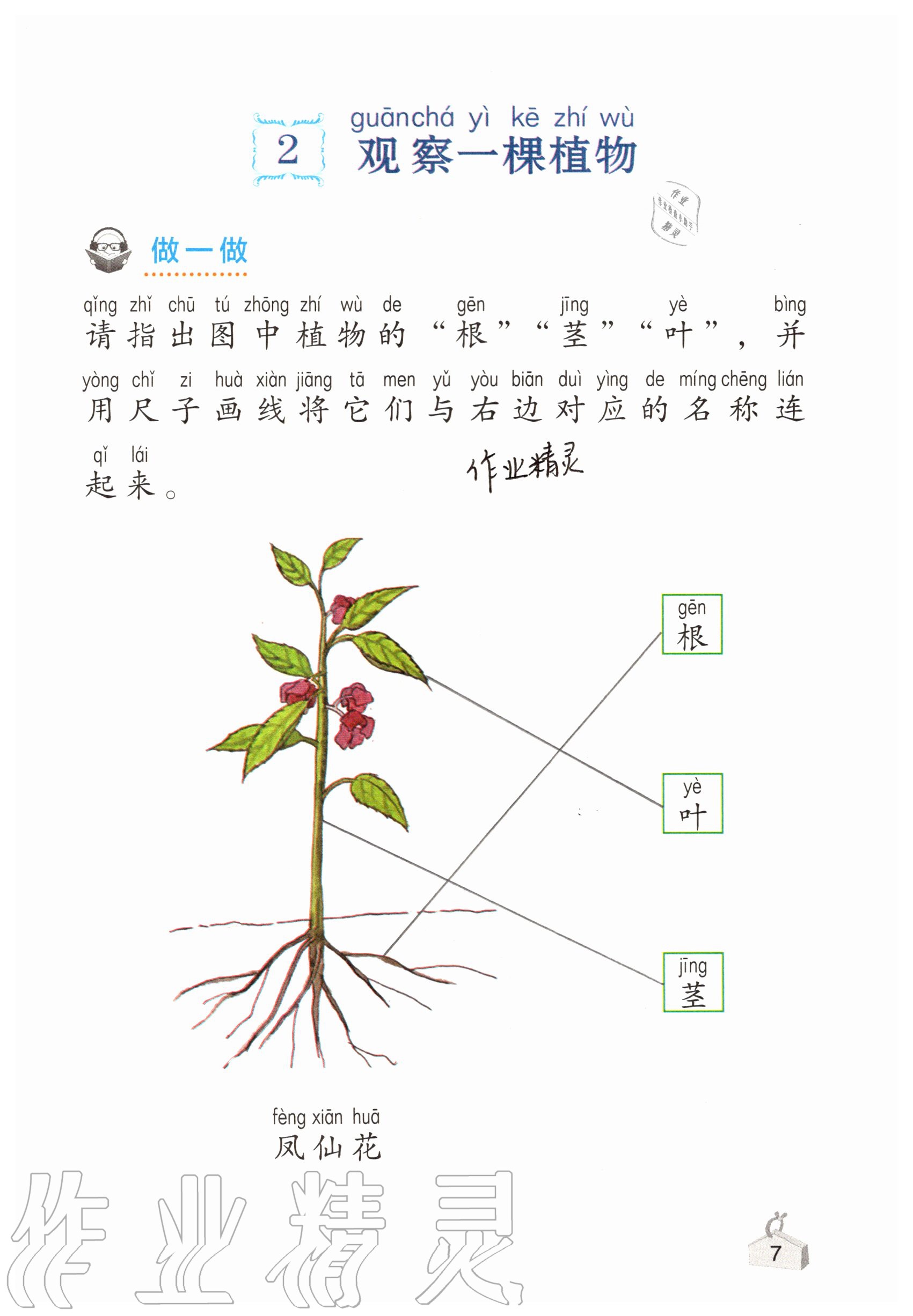 2020年知识与能力训练一年级科学上册教科版 参考答案第7页