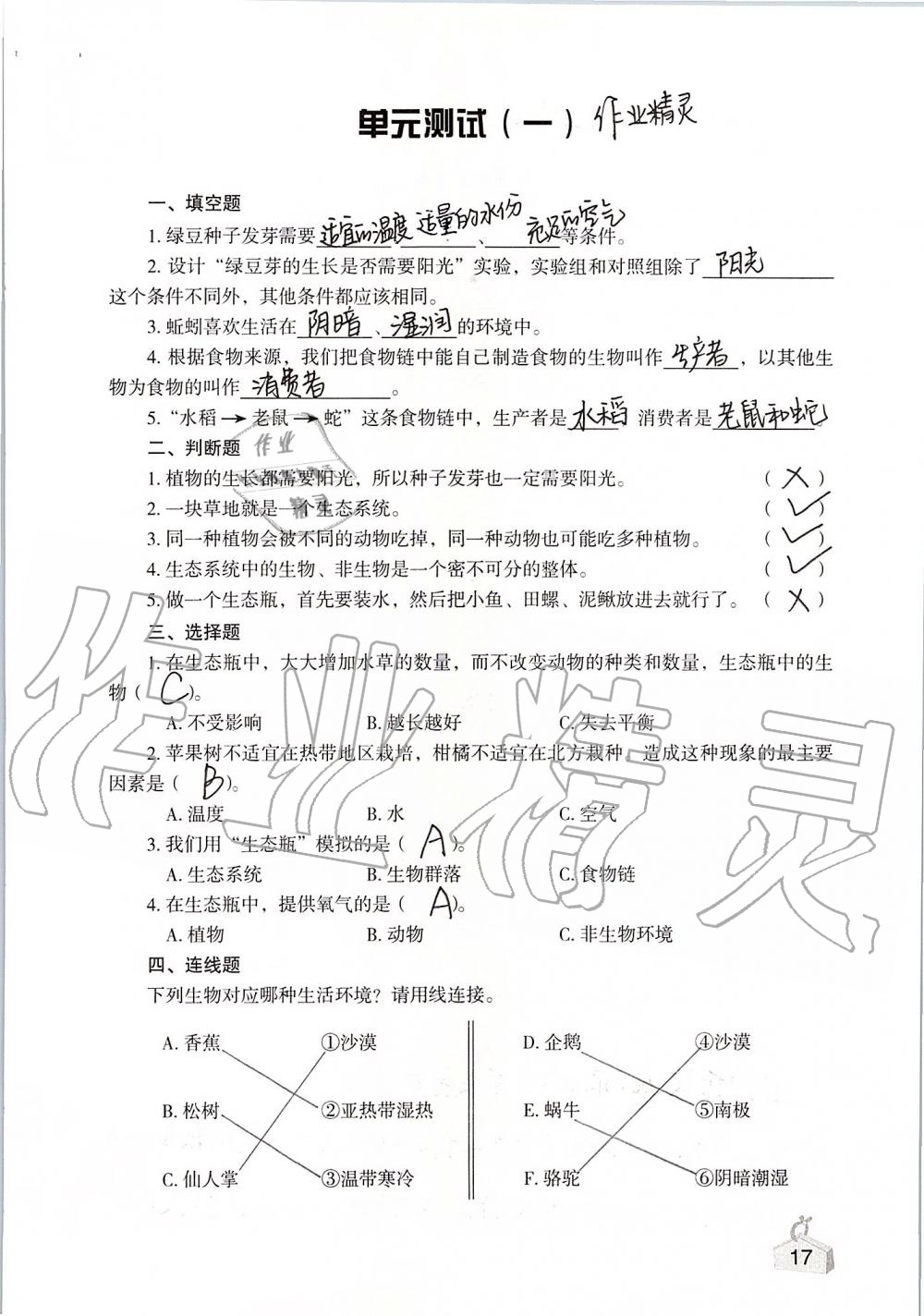2020年知識與能力訓練五年級科學上冊教科版 第17頁