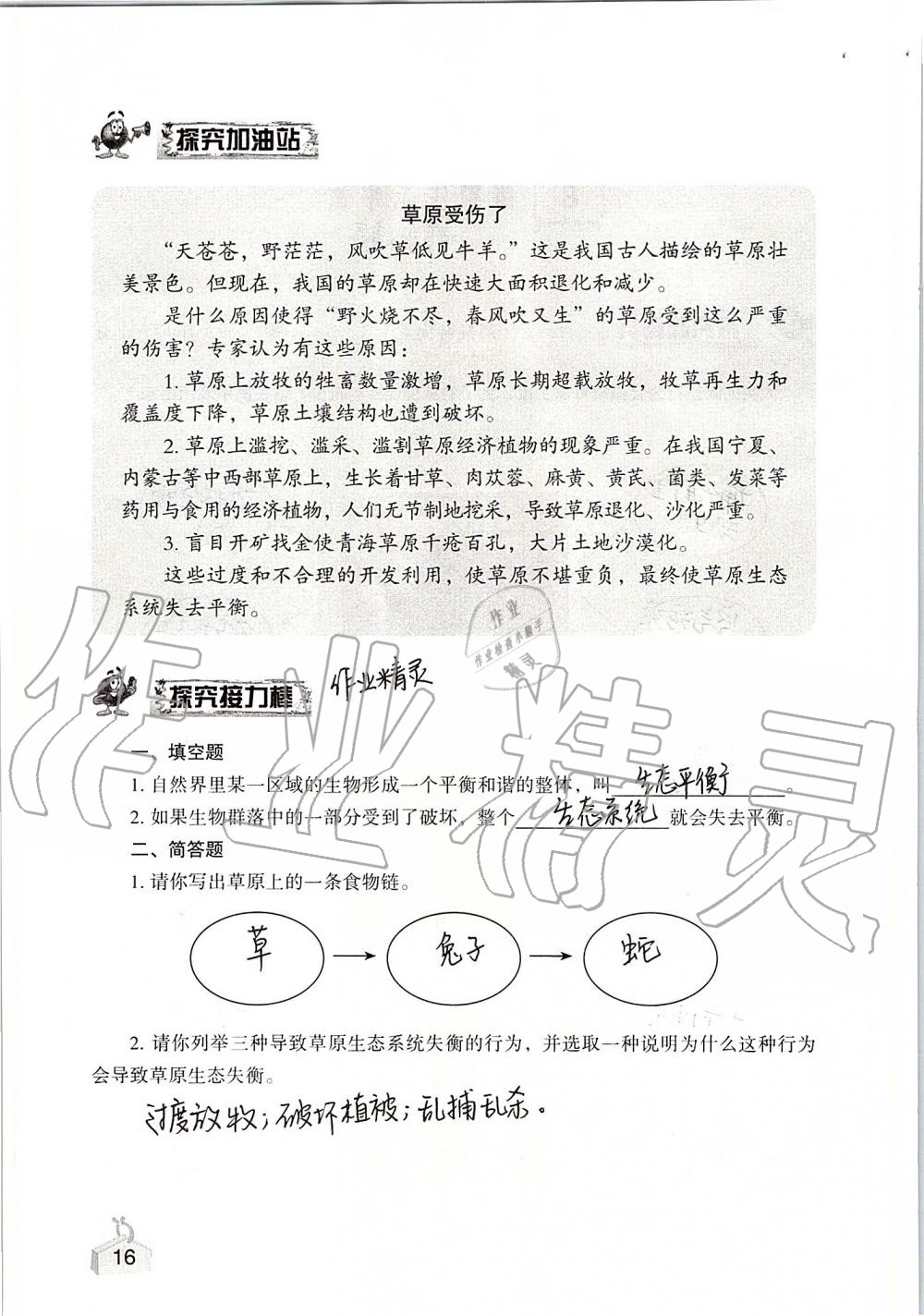 2020年知識與能力訓練五年級科學上冊教科版 第16頁