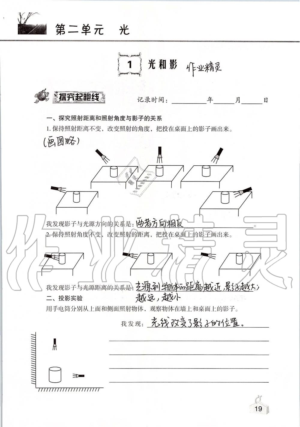 2020年知識(shí)與能力訓(xùn)練五年級(jí)科學(xué)上冊教科版 第19頁