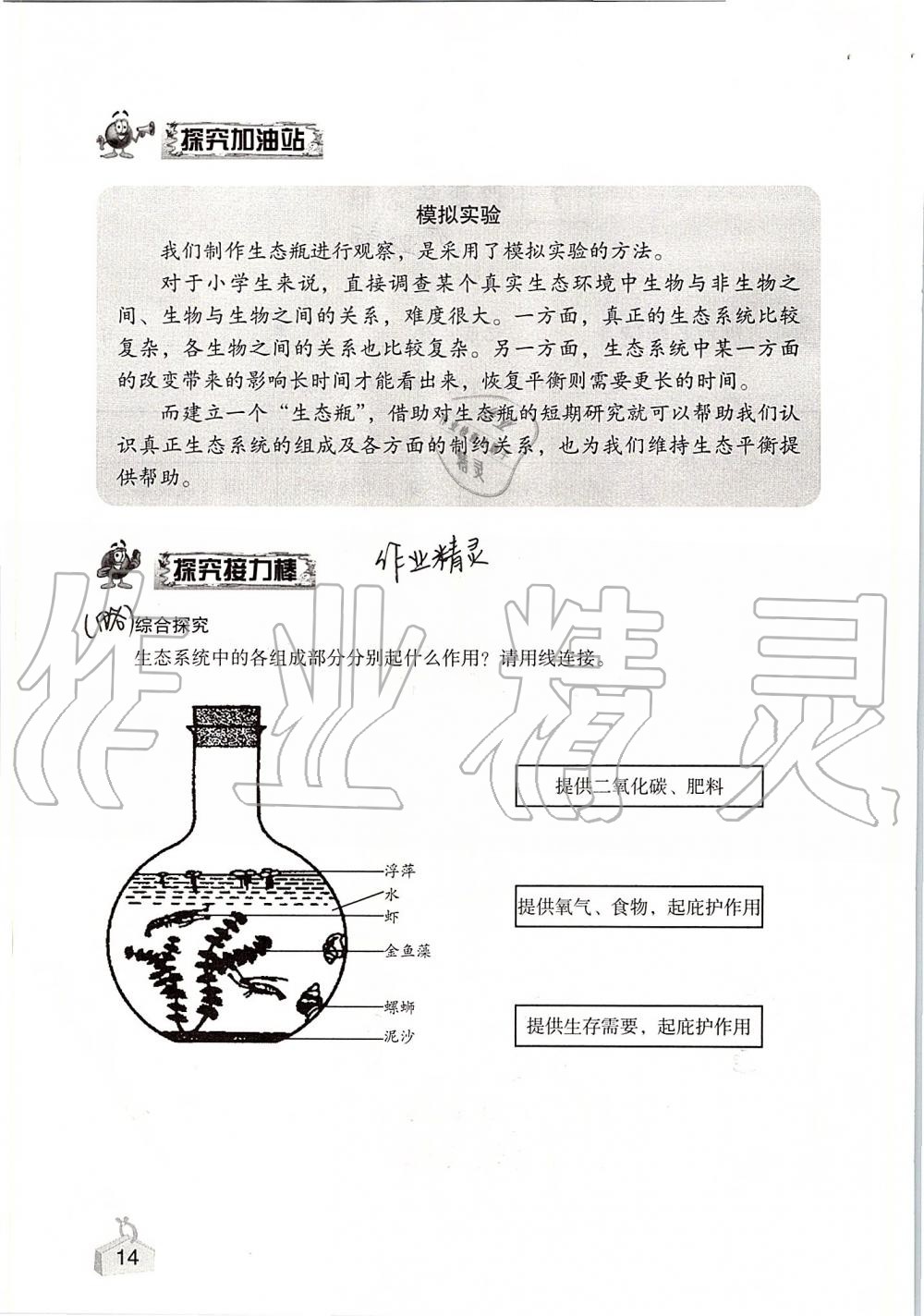 2020年知識與能力訓練五年級科學上冊教科版 第14頁
