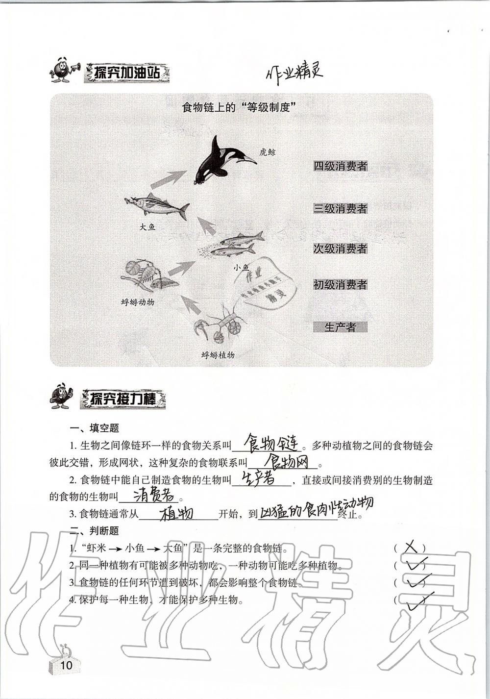 2020年知識與能力訓練五年級科學上冊教科版 第10頁