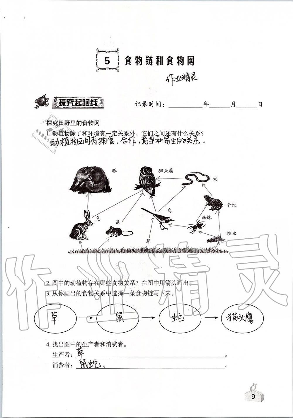 2020年知識與能力訓練五年級科學上冊教科版 第9頁