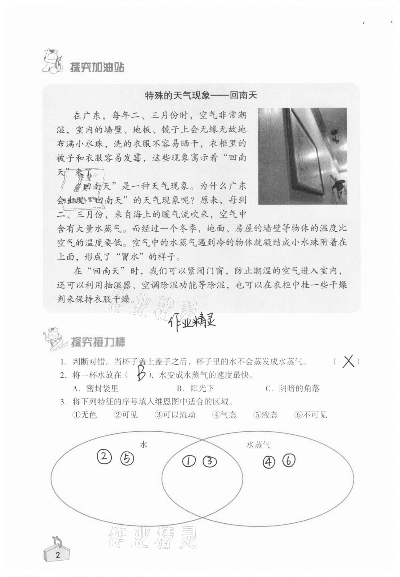 2020年知識與能力訓(xùn)練三年級科學(xué)上冊教科版 第2頁