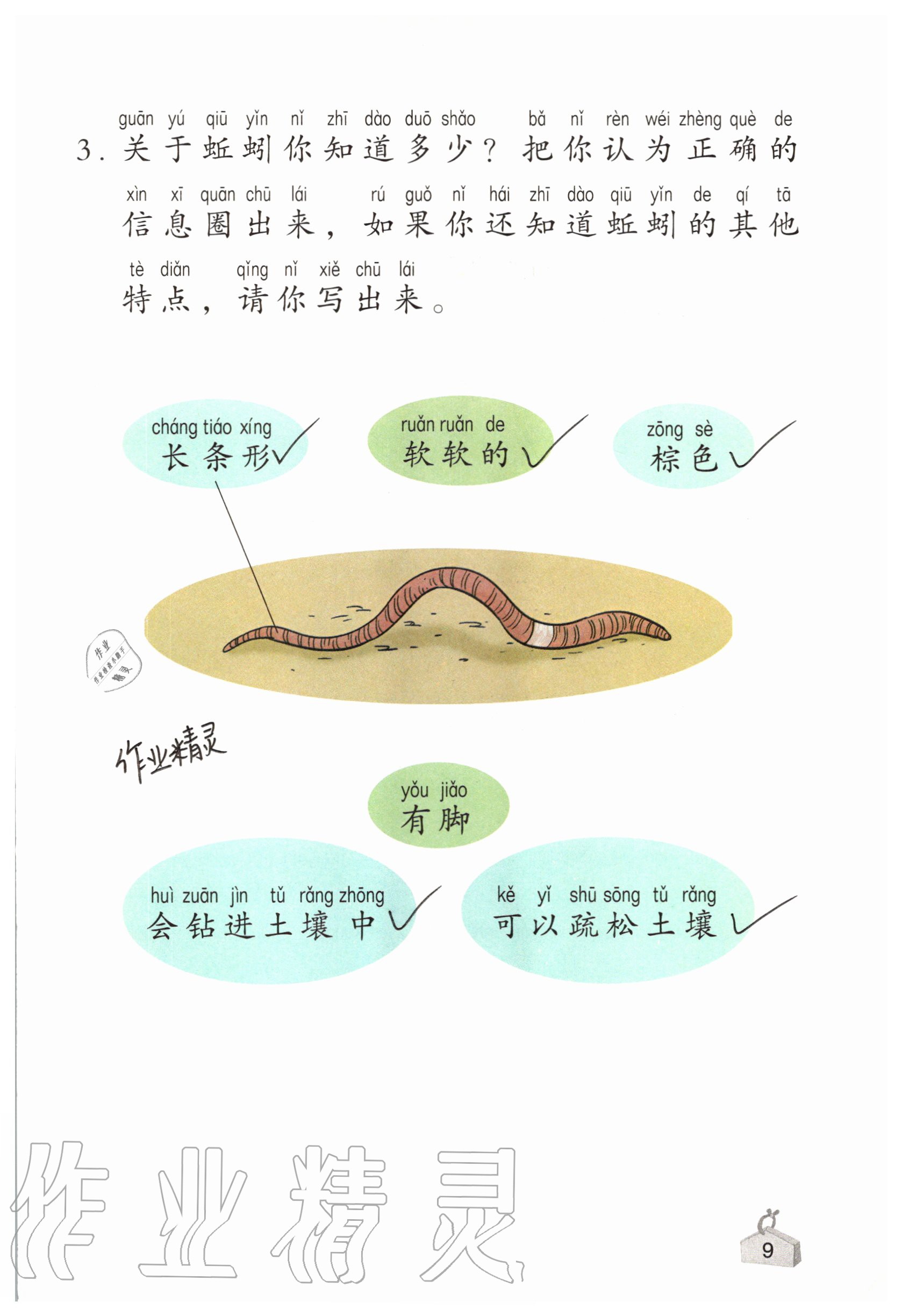 2020年知识与能力训练二年级科学上册教科版 参考答案第9页