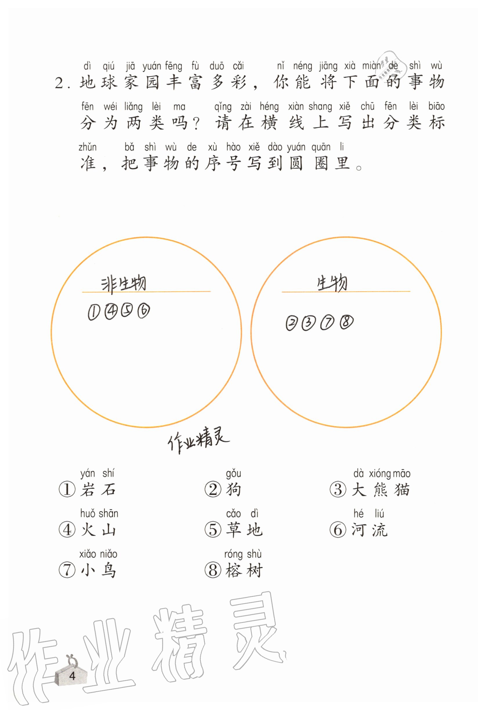 2020年知识与能力训练二年级科学上册教科版 参考答案第4页