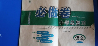2020年必做卷小學總復習語文人教版