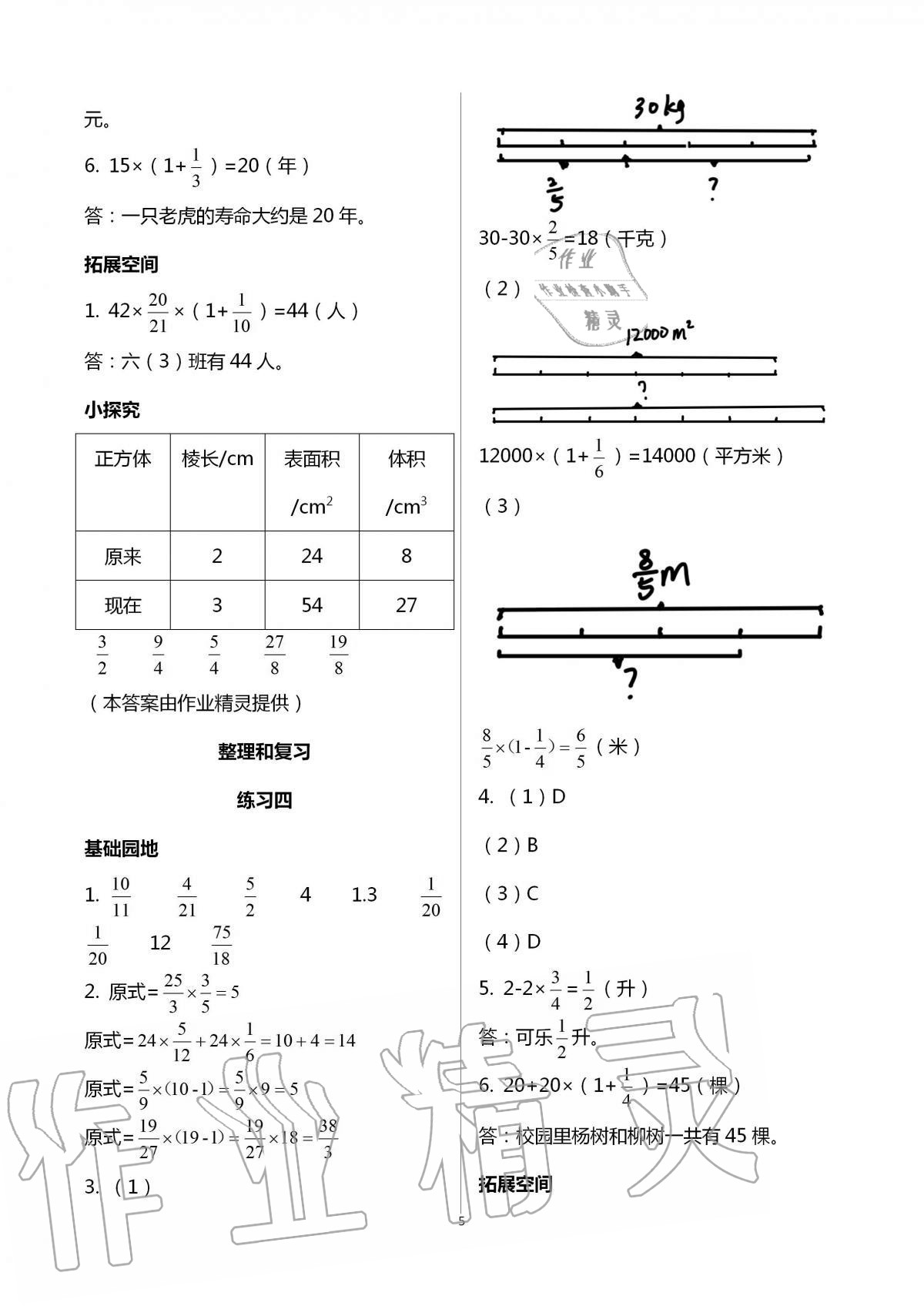 2020年新編基礎(chǔ)訓(xùn)練六年級(jí)數(shù)學(xué)上冊(cè)人教版 第5頁(yè)