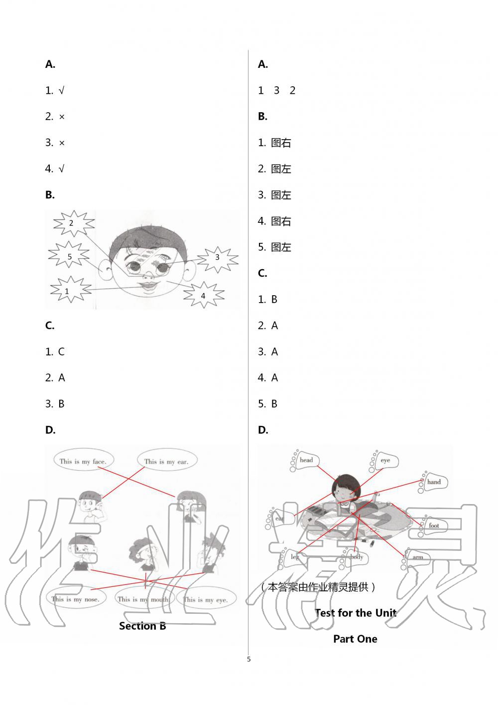 2020年新課堂同步學(xué)習(xí)與探究三年級英語上學(xué)期人教版棗莊專版 第5頁