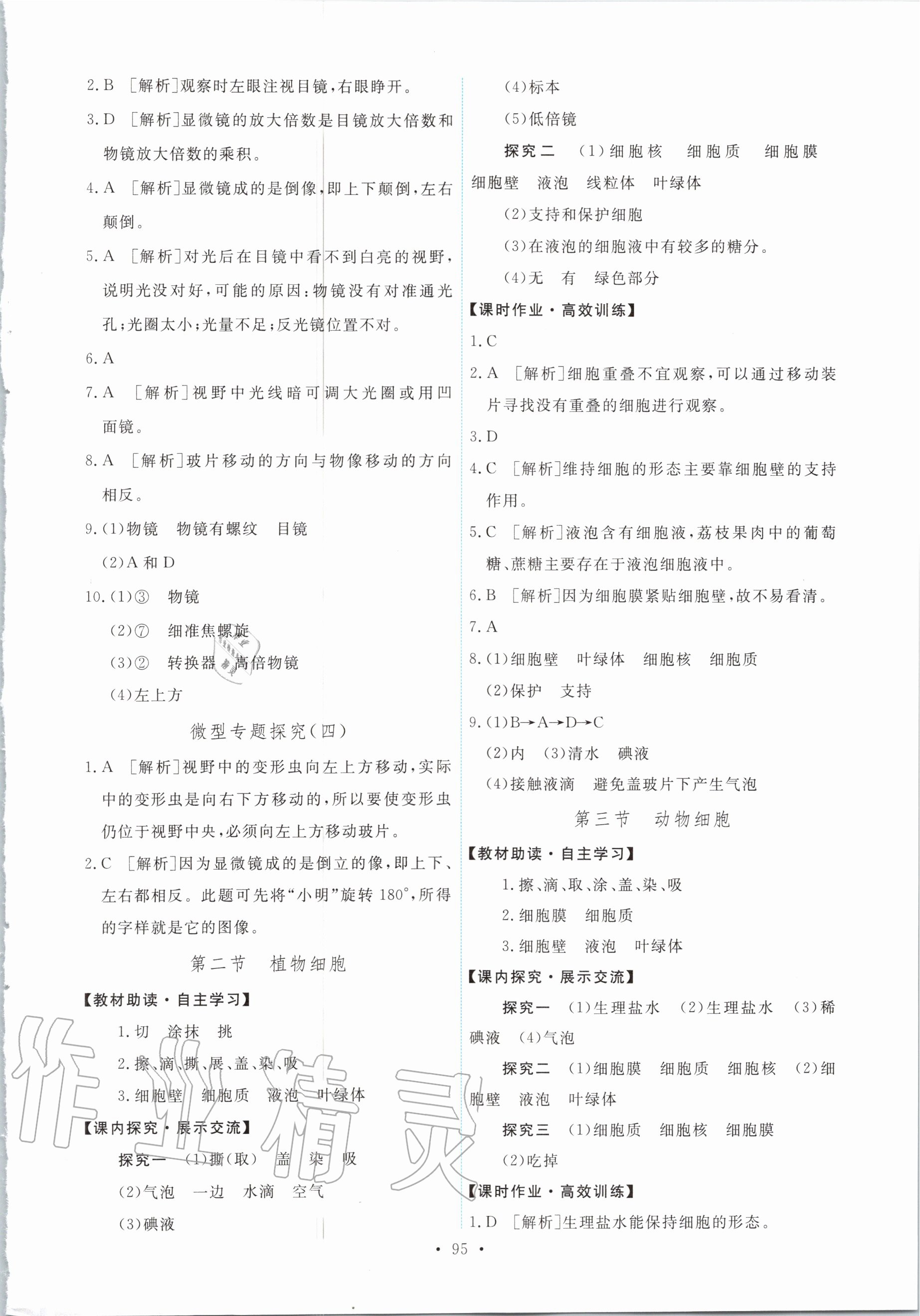 2020年能力培养与测试七年级生物学上册人教版 第5页