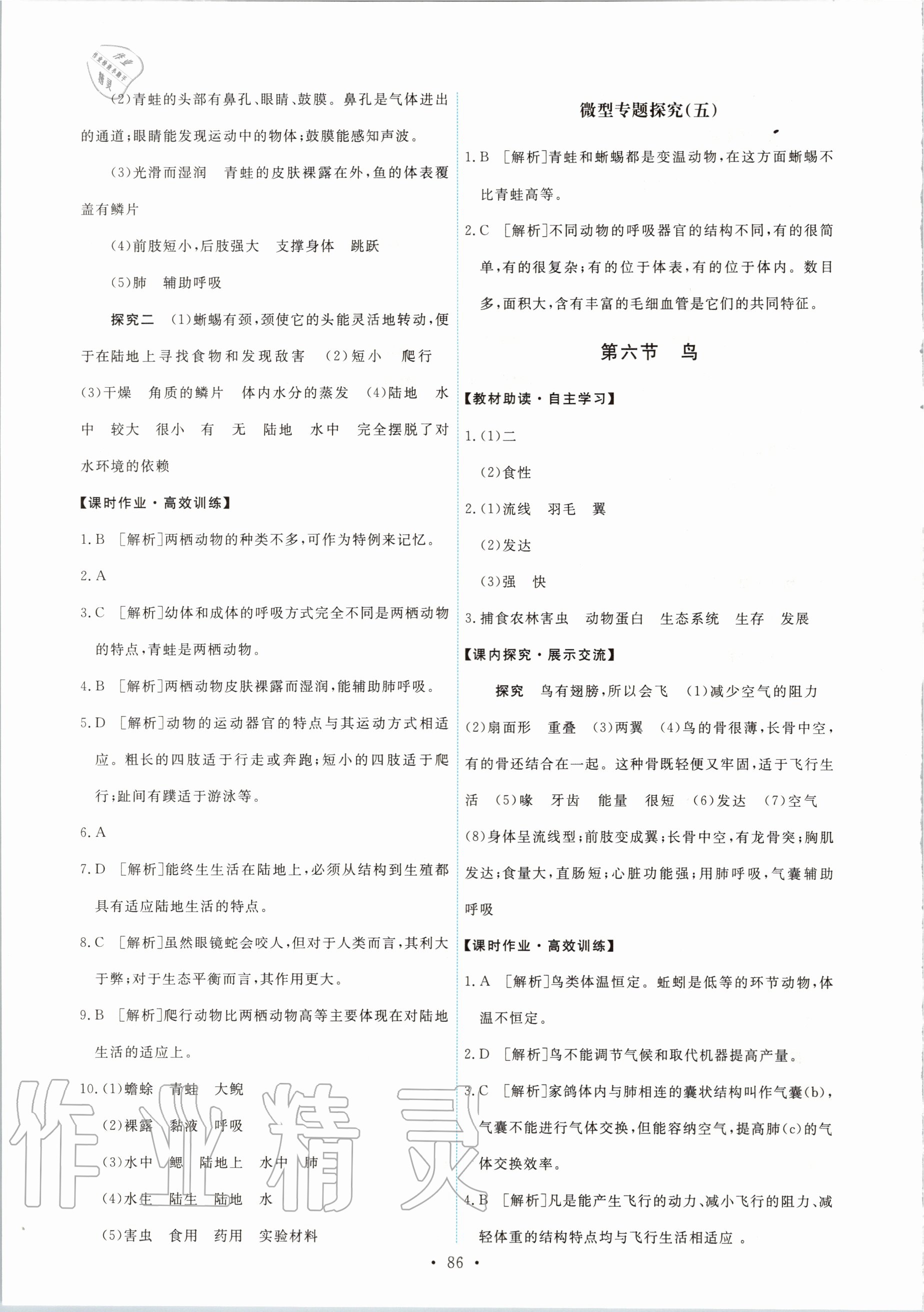 2020年能力培养与测试八年级生物学上册人教版 第4页