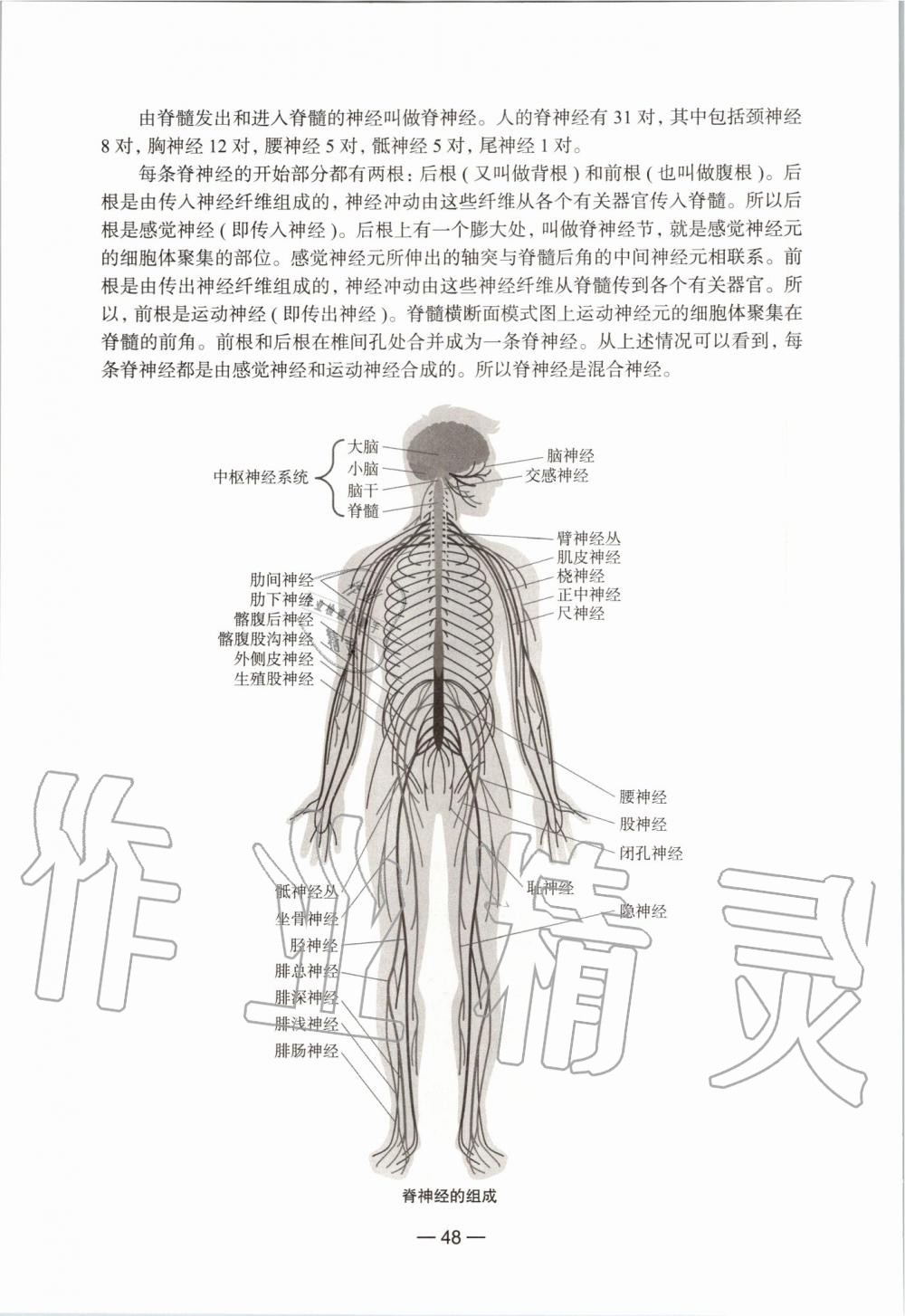 2020年生命科學(xué)練習(xí)部分初中第一冊滬教版54制 第24頁