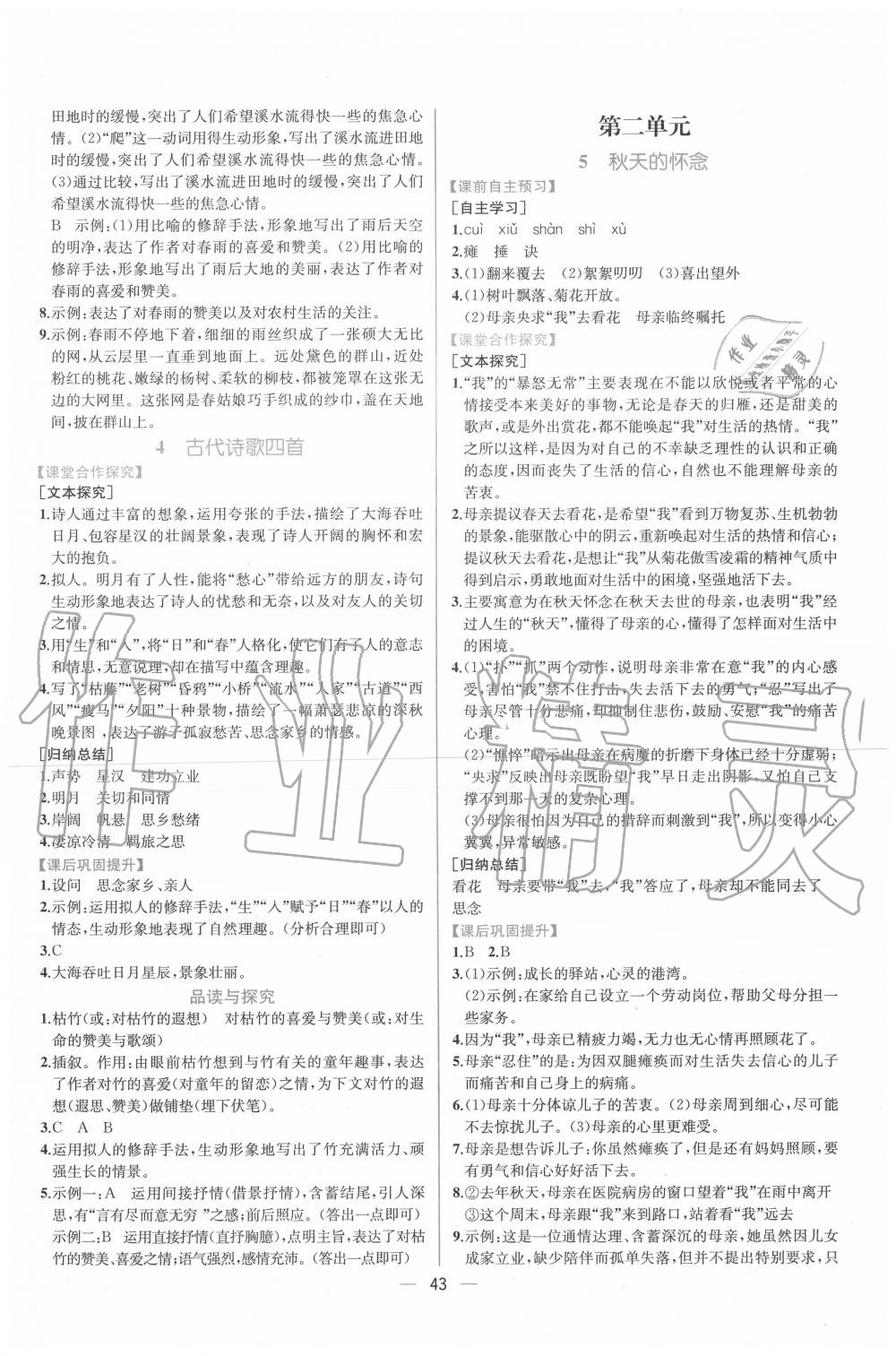 2020年同步導(dǎo)學(xué)案課時練七年級語文上冊人教版 第3頁