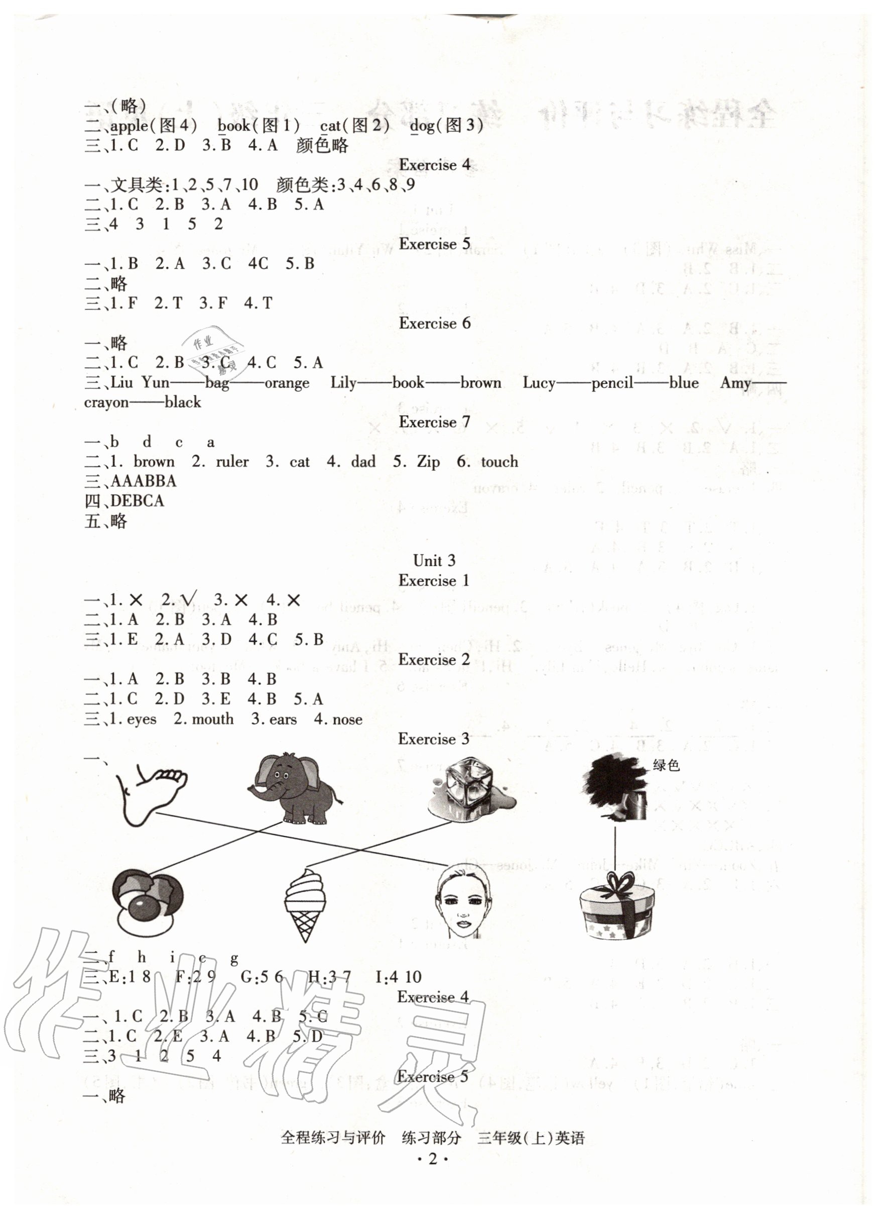 2020年全程练习与评价三年级英语上册人教版 参考答案第2页