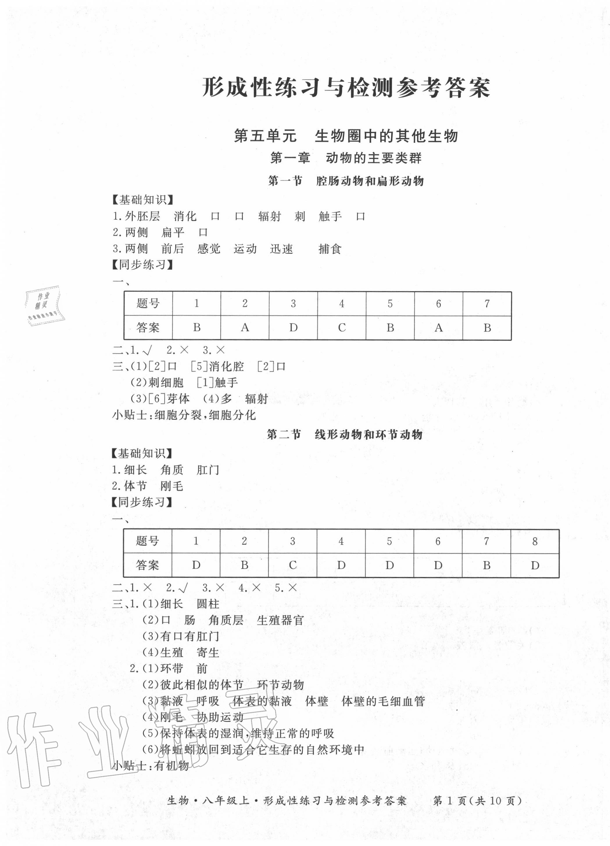 2020年形成性练习与检测八年级生物上册人教版 第3页