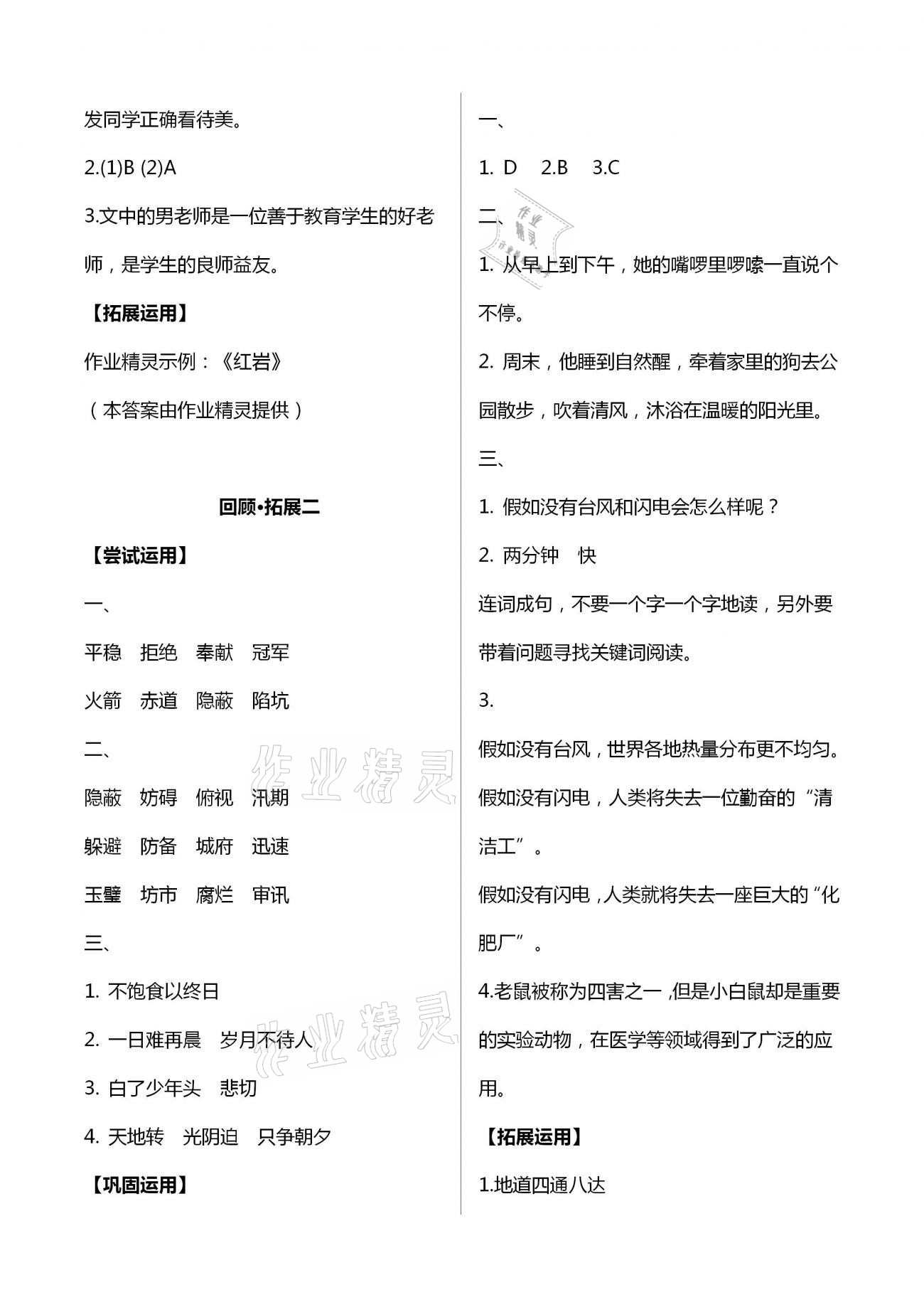 2020年学习指要五年级语文上册人教版 第8页