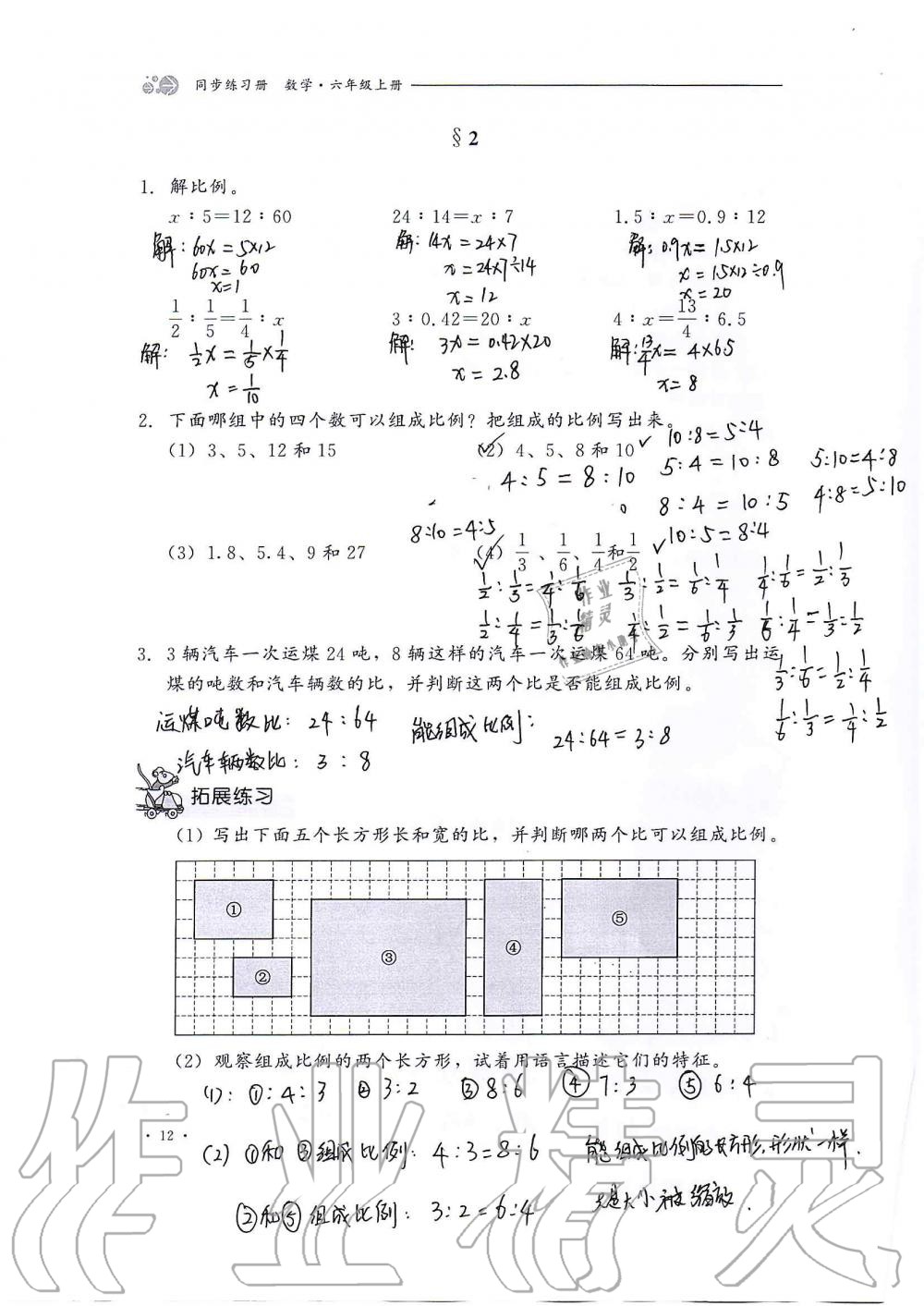 2020年同步练习册六年级数学上册冀教版河北教育出版社 第12页