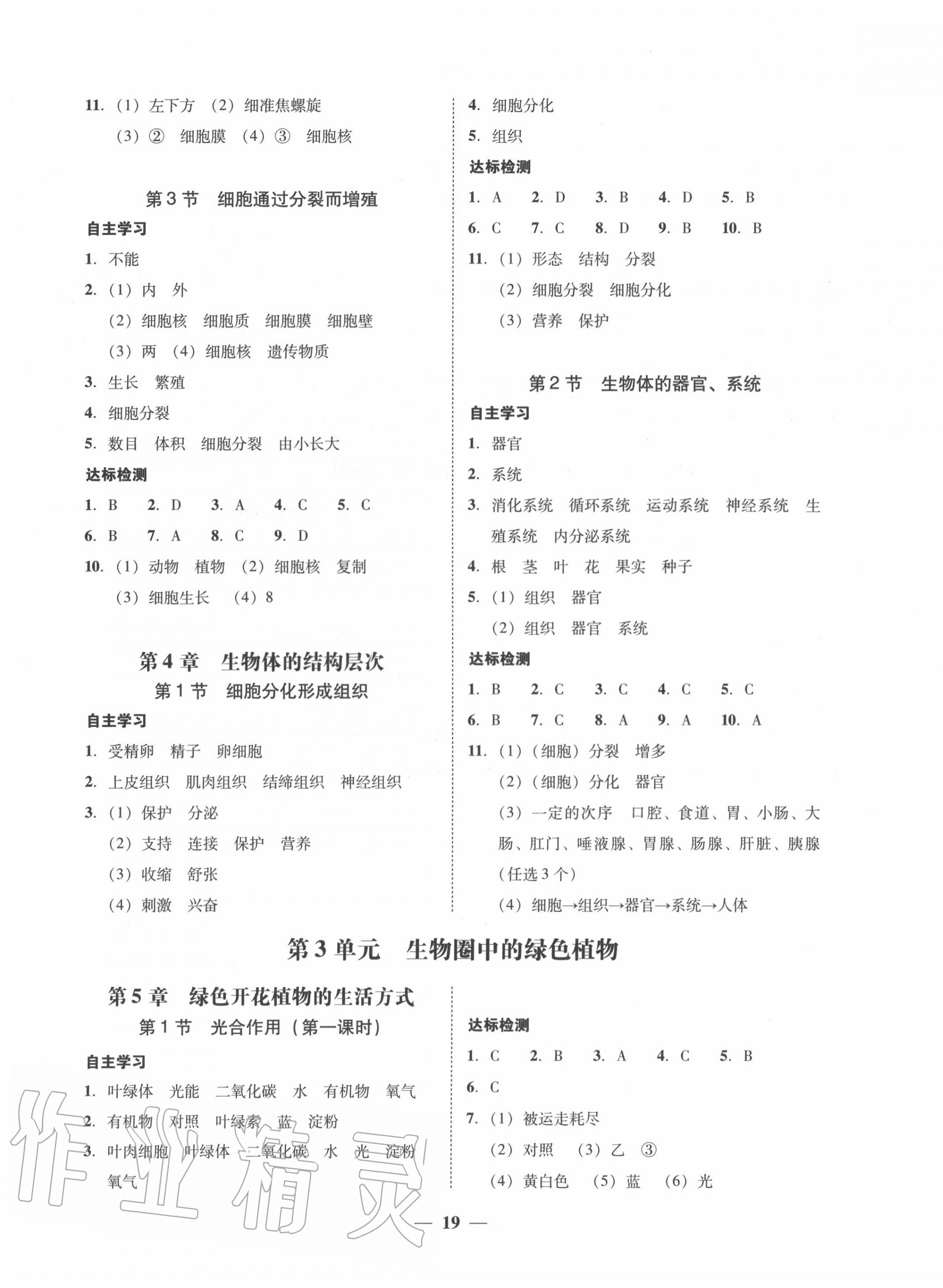 2020年南粤学典学考精练七年级生物上册北师大版 第3页