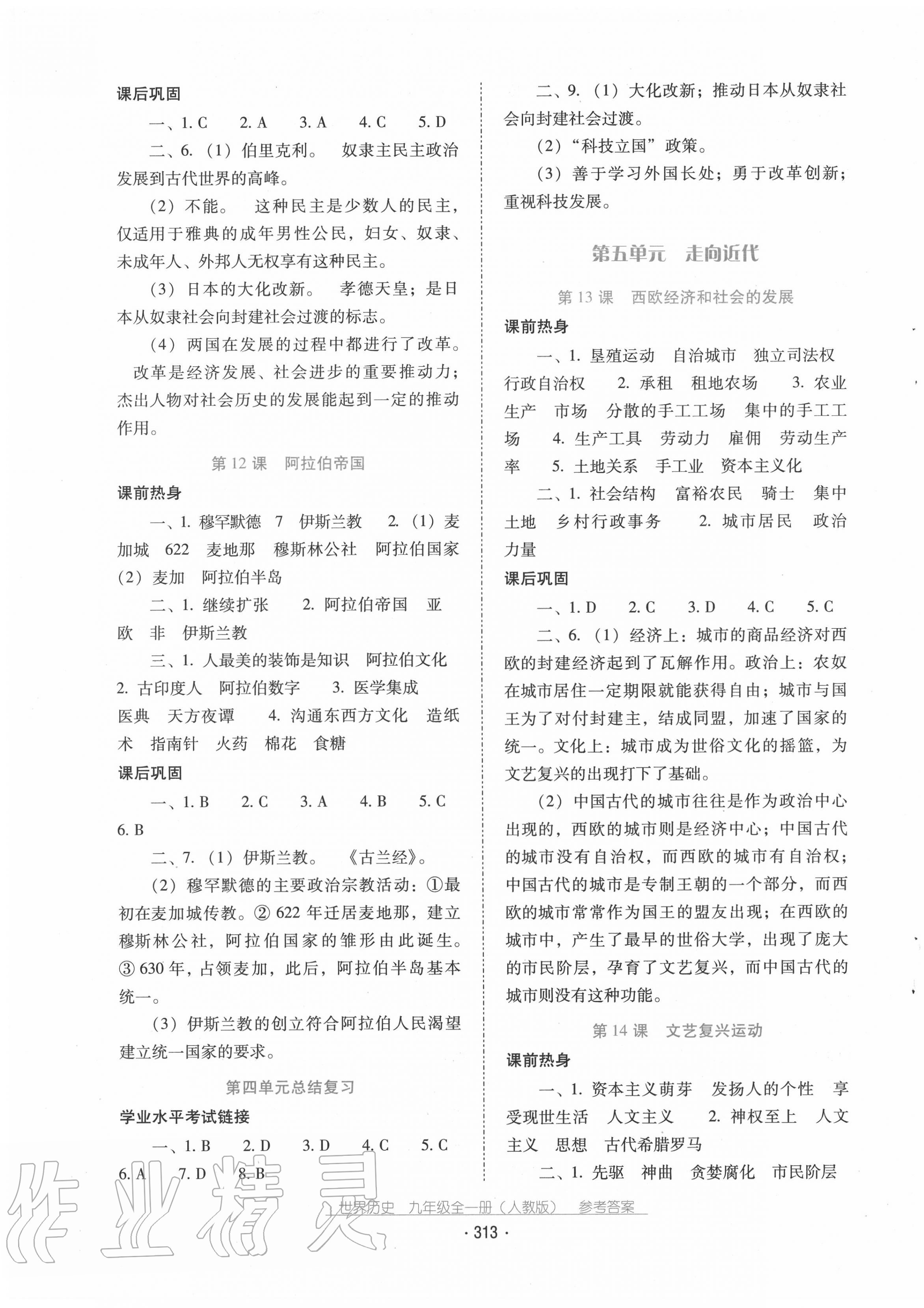 2020年云南省標(biāo)準(zhǔn)教輔優(yōu)佳學(xué)案九年級世界歷史全一冊人教版 第5頁