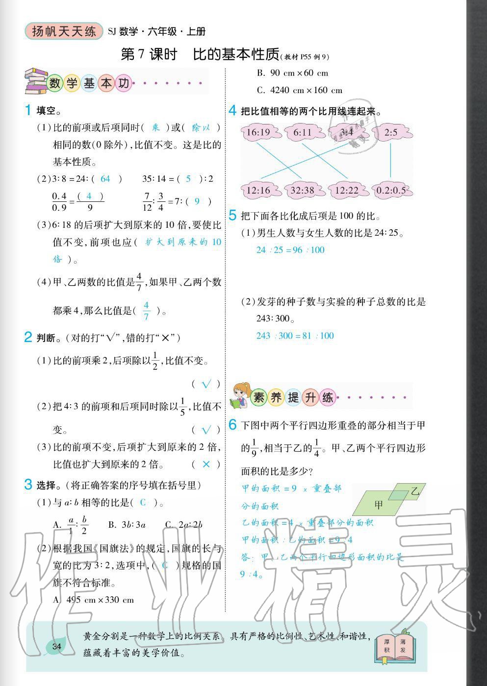 2020年揚(yáng)帆文化揚(yáng)帆天天練六年級(jí)數(shù)學(xué)上冊(cè)蘇教版 參考答案第34頁(yè)