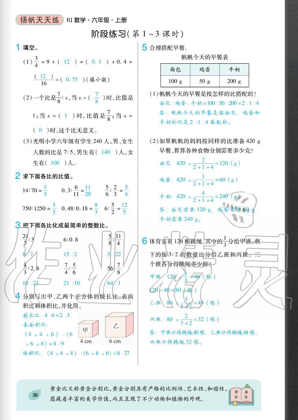 2020年揚帆文化揚帆天天練六年級數(shù)學上冊人教版 參考答案第36頁