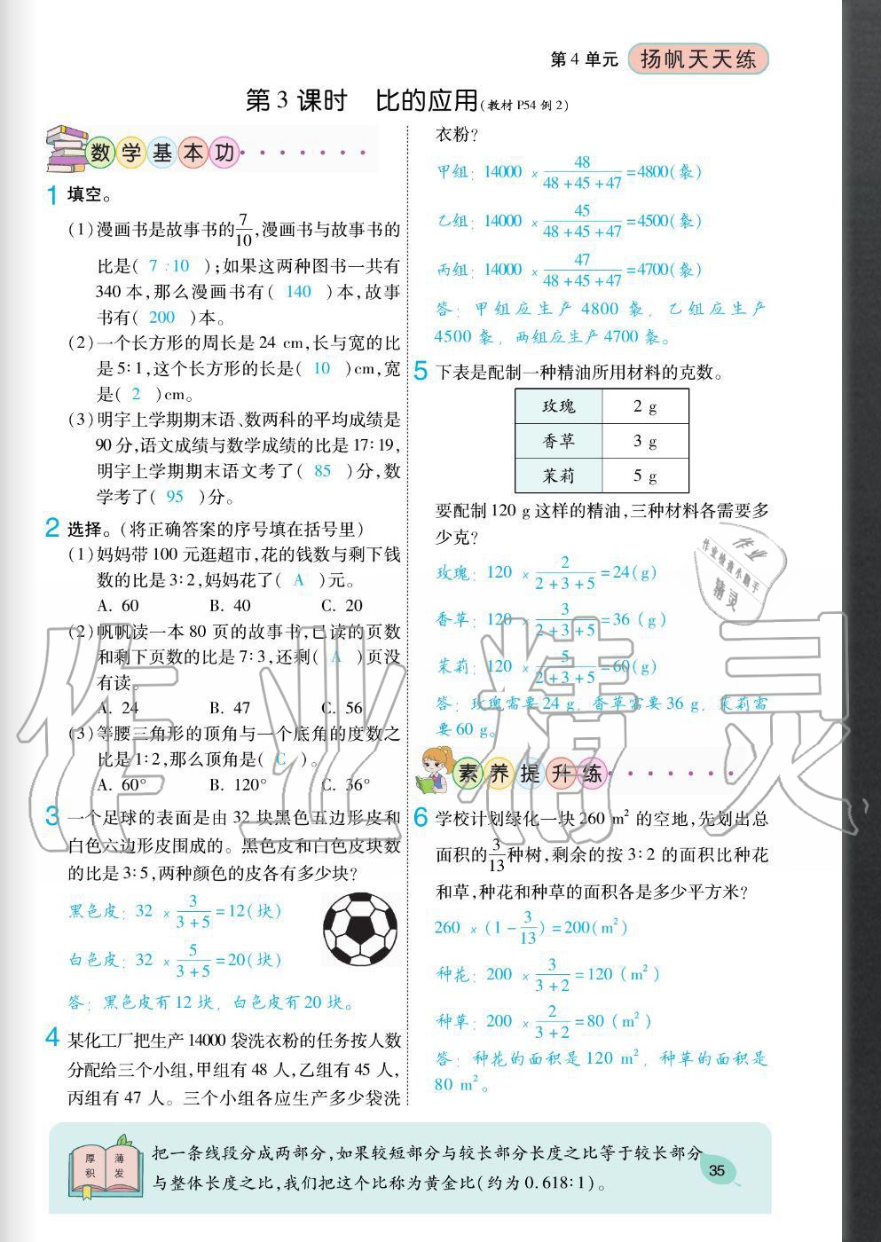 2020年揚(yáng)帆文化揚(yáng)帆天天練六年級數(shù)學(xué)上冊人教版 參考答案第35頁