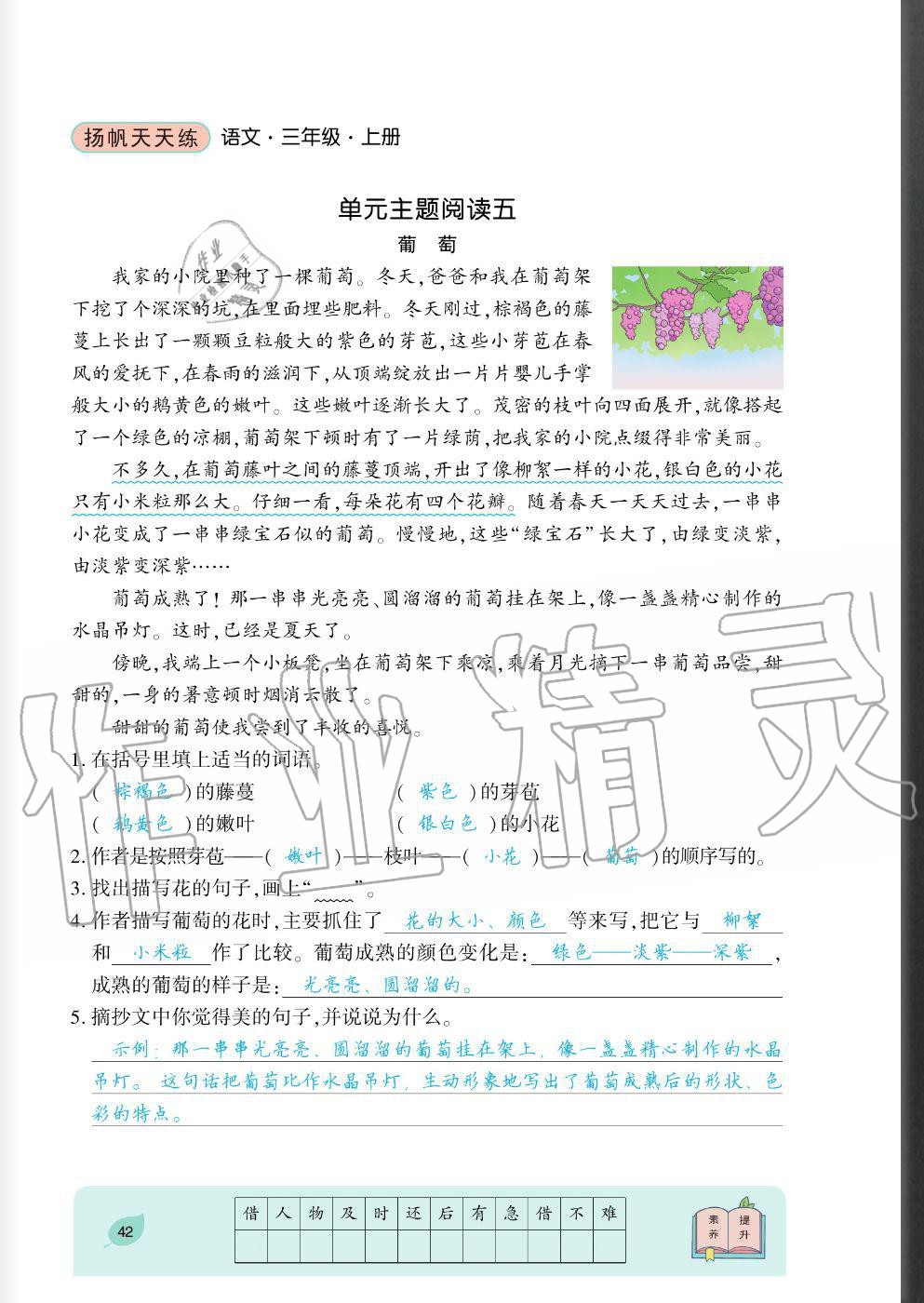 2020年揚帆文化揚帆天天練三年級語文上冊人教版 參考答案第42頁