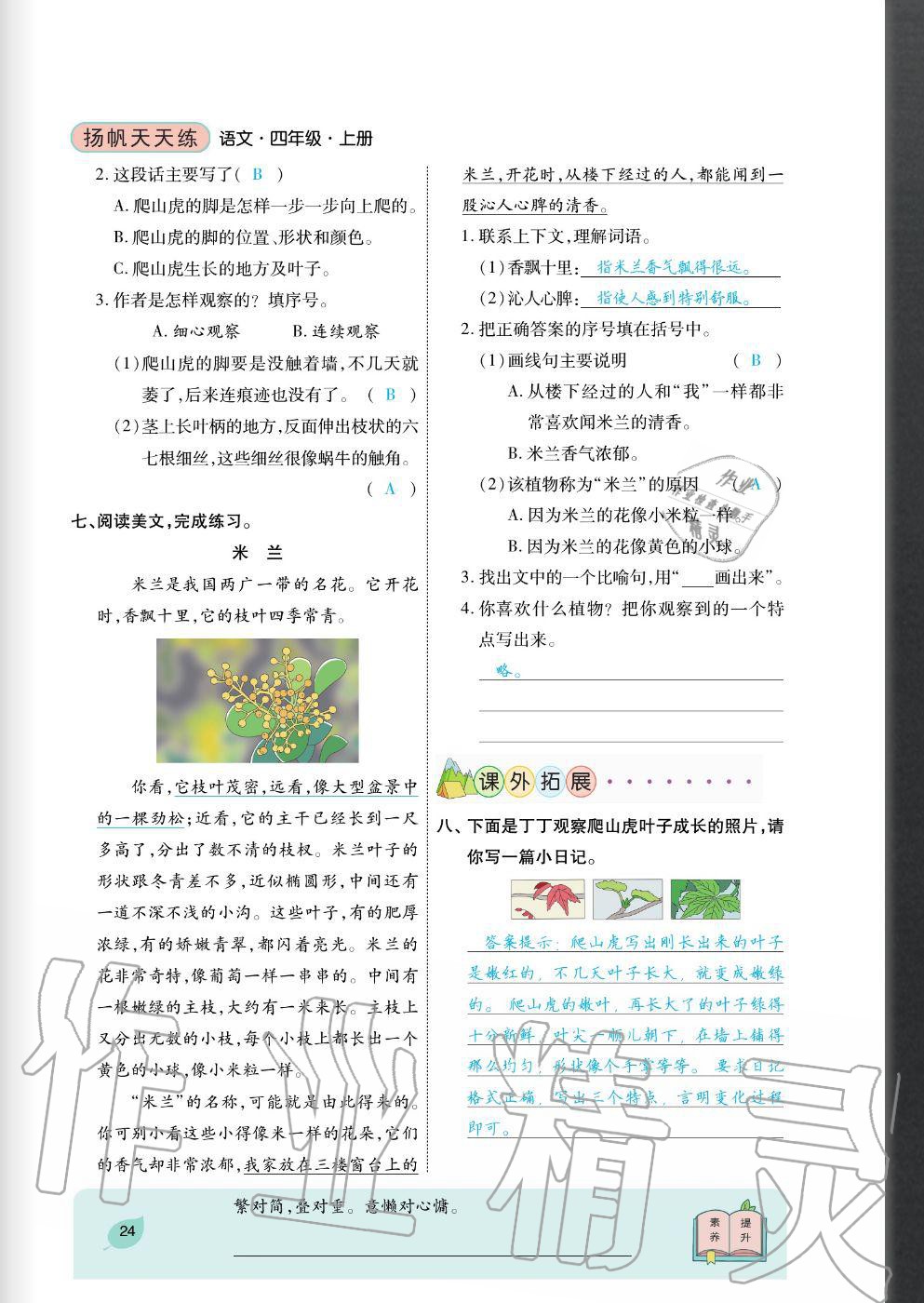 2020年揚(yáng)帆文化揚(yáng)帆天天練四年級(jí)語文上冊(cè)人教版 參考答案第24頁