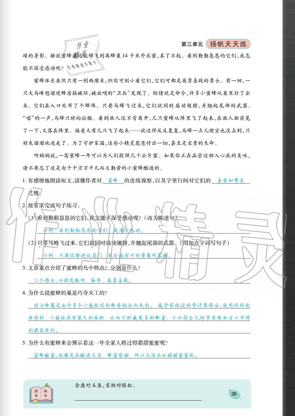 2020年揚帆文化揚帆天天練四年級語文上冊人教版 參考答案第29頁