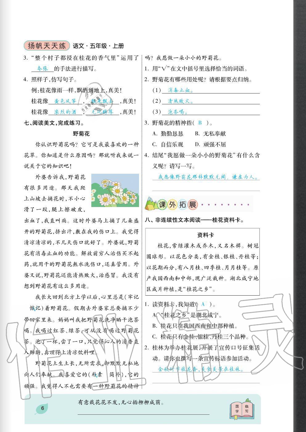 2020年揚(yáng)帆文化揚(yáng)帆天天練五年級(jí)語(yǔ)文上冊(cè)人教版 參考答案第6頁(yè)