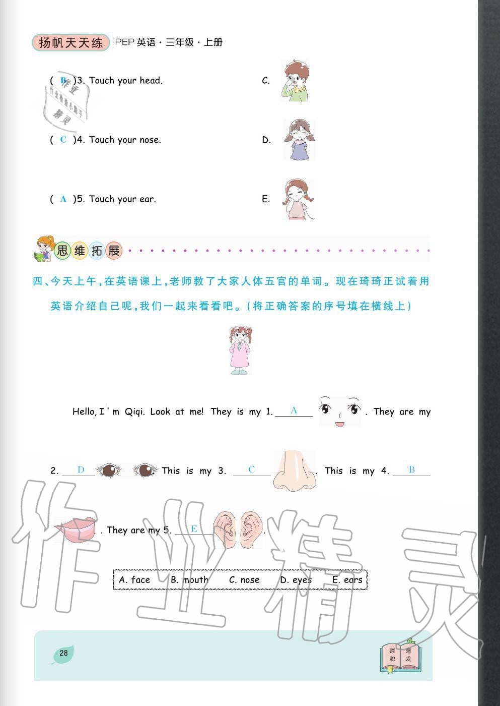 2020年揚(yáng)帆文化揚(yáng)帆天天練三年級(jí)英語上冊人教版 參考答案第28頁