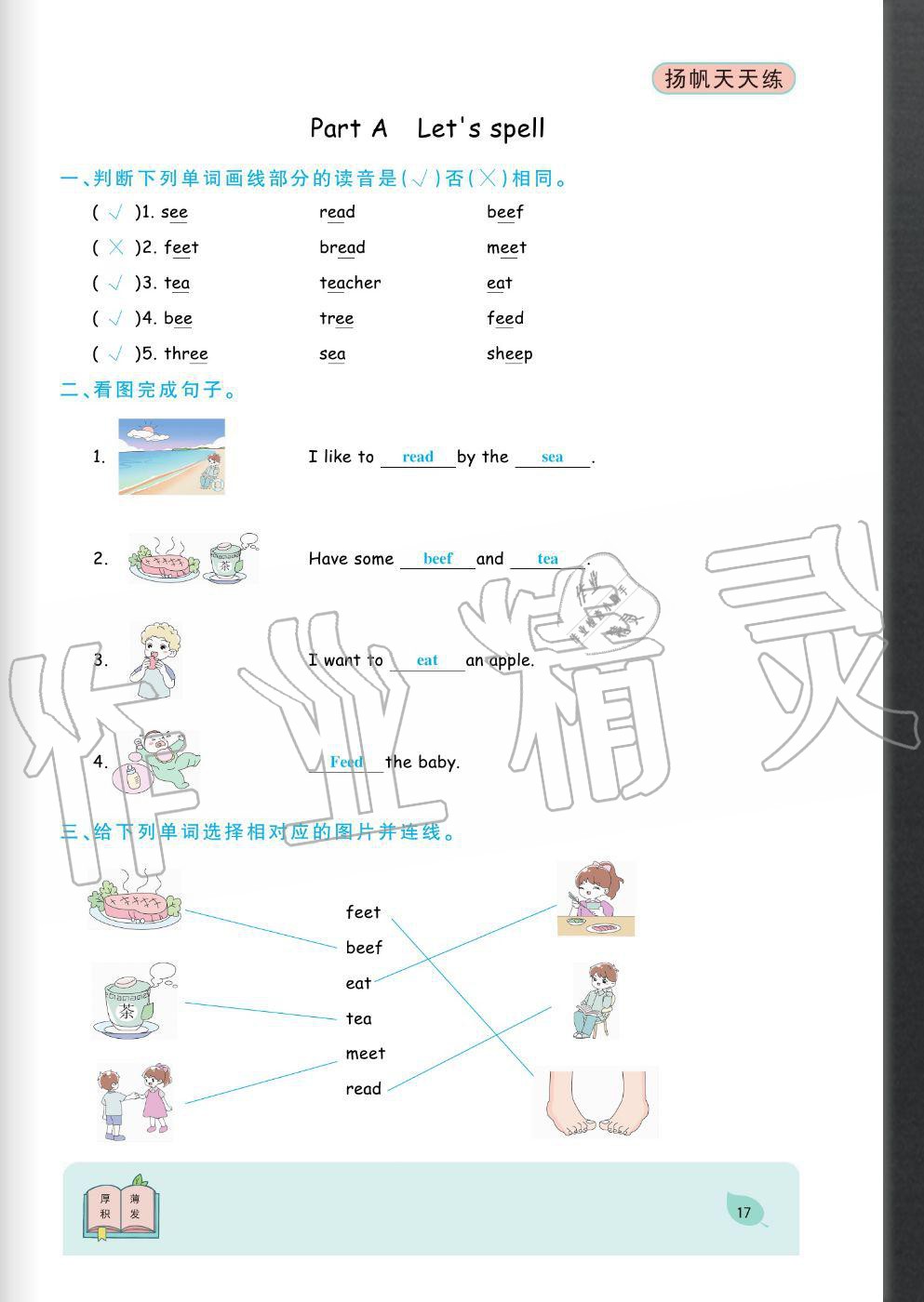 2020年揚帆文化揚帆天天練五年級英語上冊人教版 參考答案第17頁