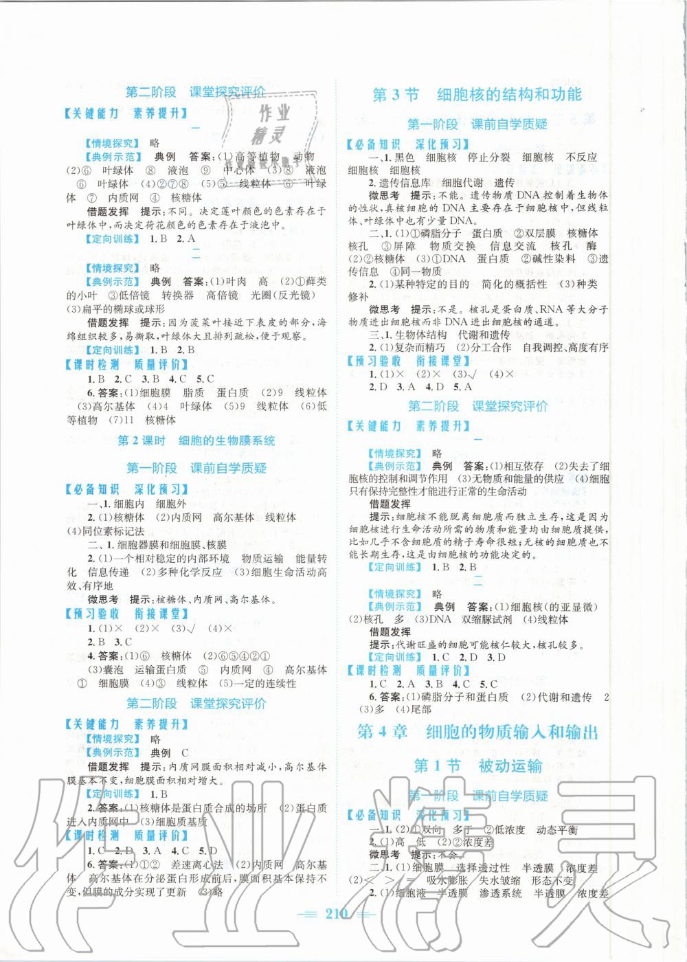 2020年新編高中同步作業(yè)生物學(xué)必修1分子與細(xì)胞人教版 參考答案第4頁(yè)