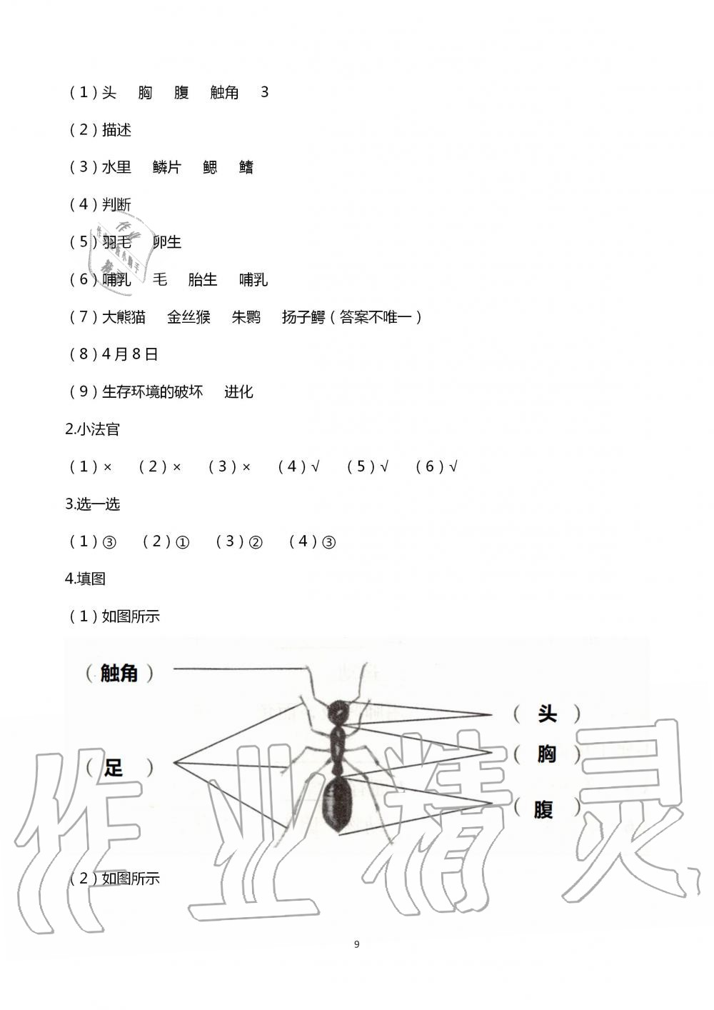 2020年自主学习指导课程四年级科学上册青岛版 第9页