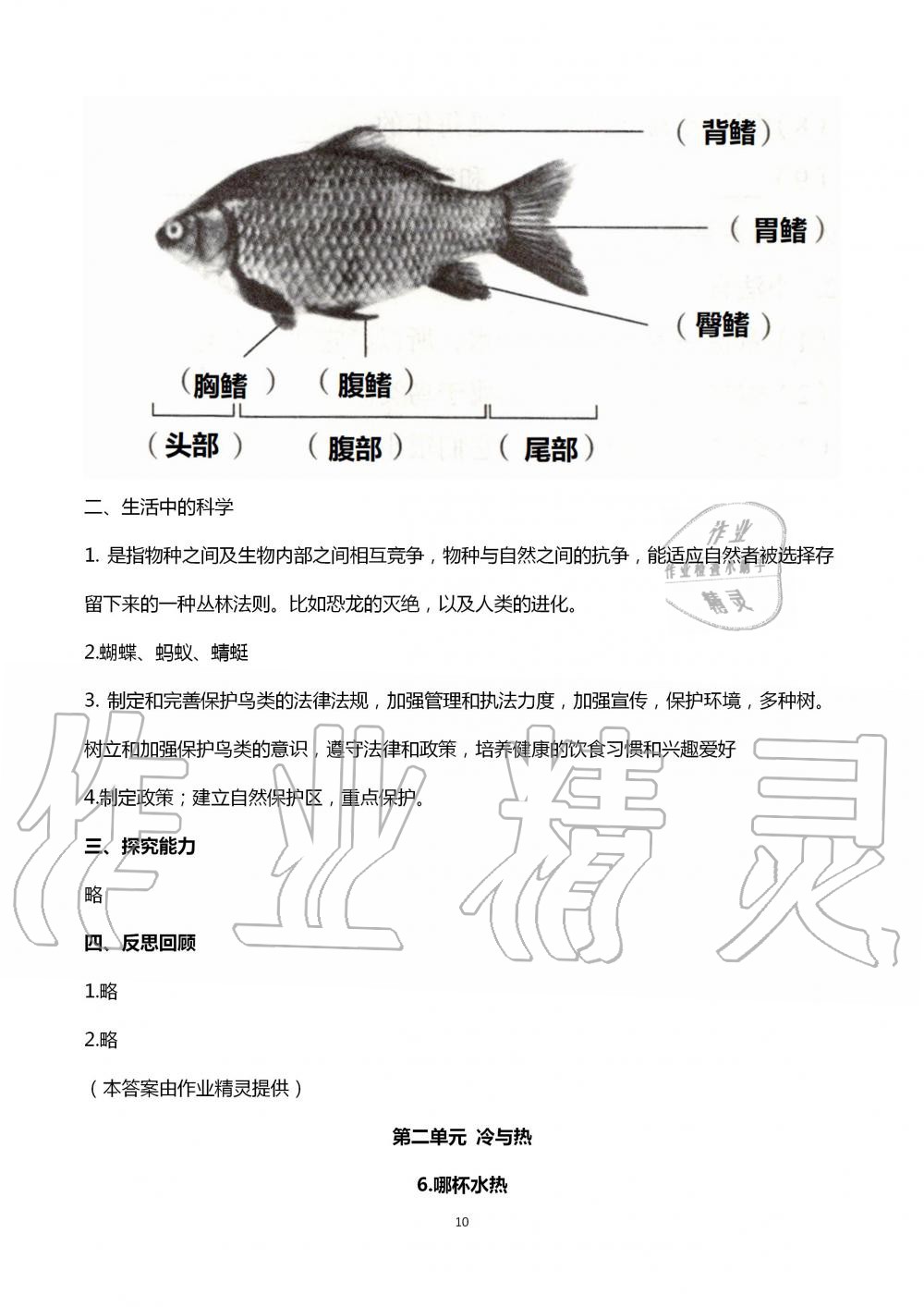 2020年自主学习指导课程四年级科学上册青岛版 第10页