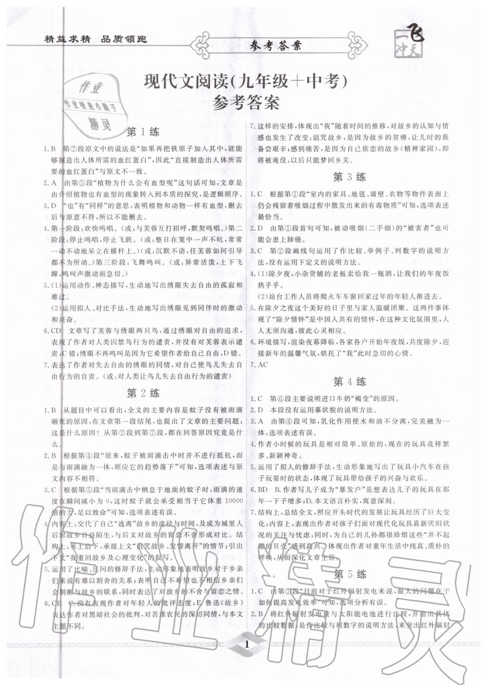2020年一飞冲天现代文阅读九年级加中考人教版天津专版 第1页