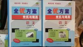 2020年全優(yōu)方案夯實(shí)與提高九年級語文全一冊人教版