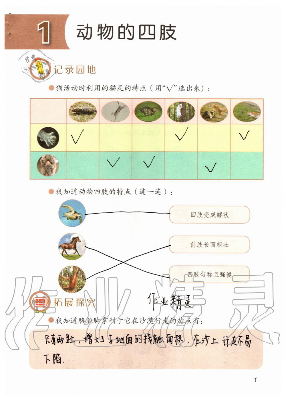 2020年科學(xué)學(xué)生活動(dòng)手冊(cè)三年級(jí)上冊(cè)青島版 參考答案第1頁(yè)